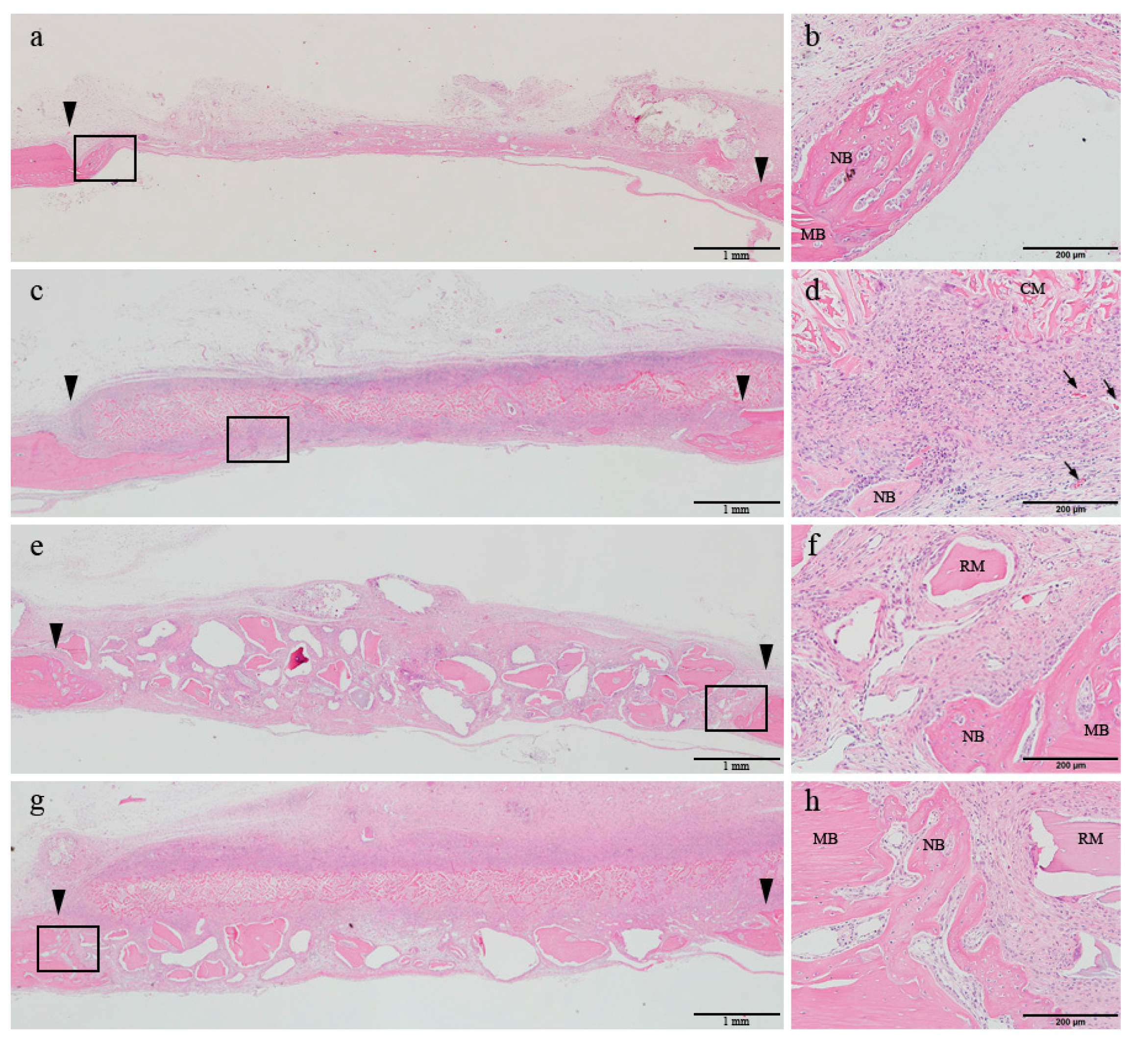 Materials 10 00927 g002 550