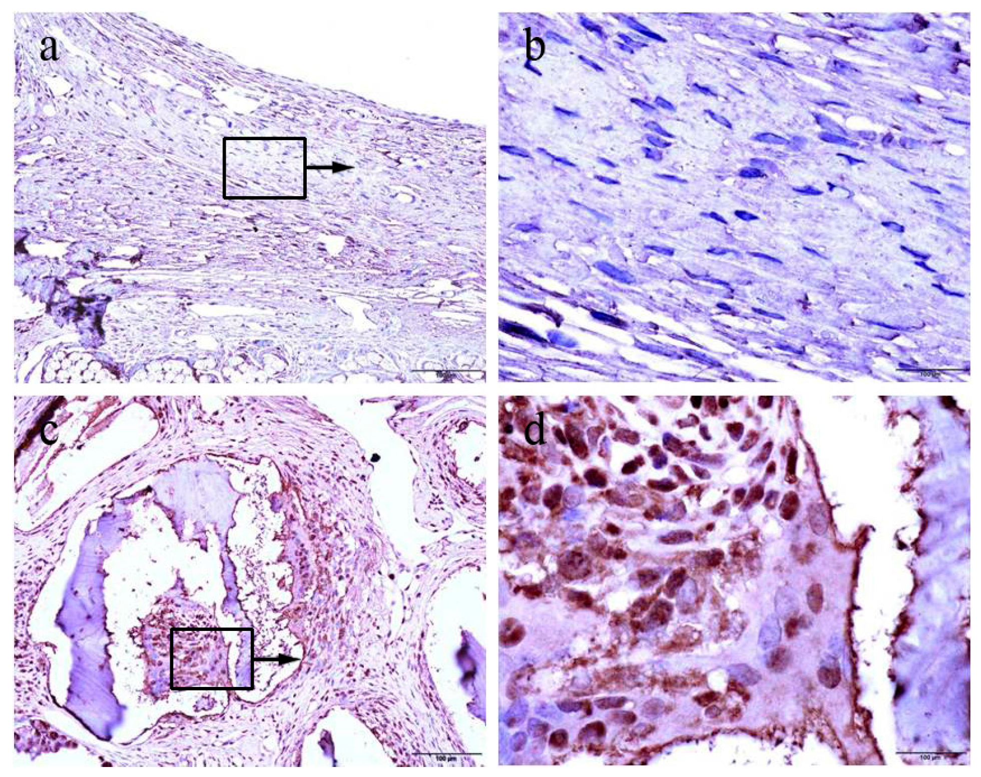 Materials 10 00927 g004 550