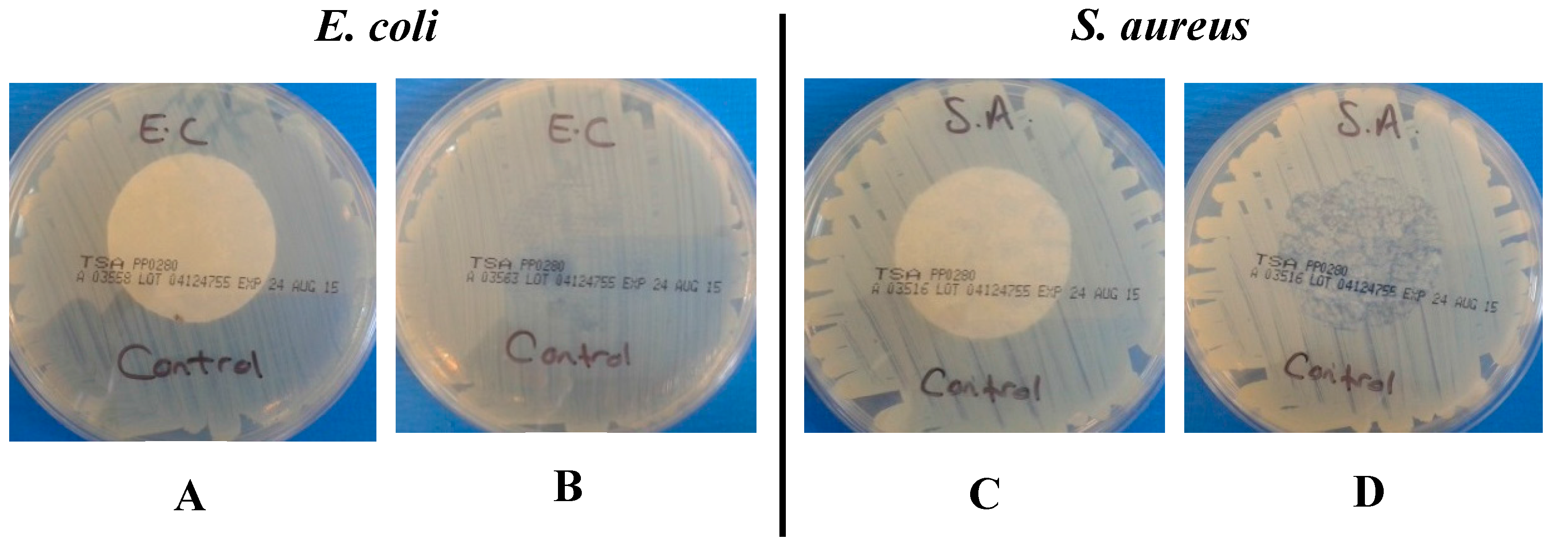 Materials 10 00954 g001