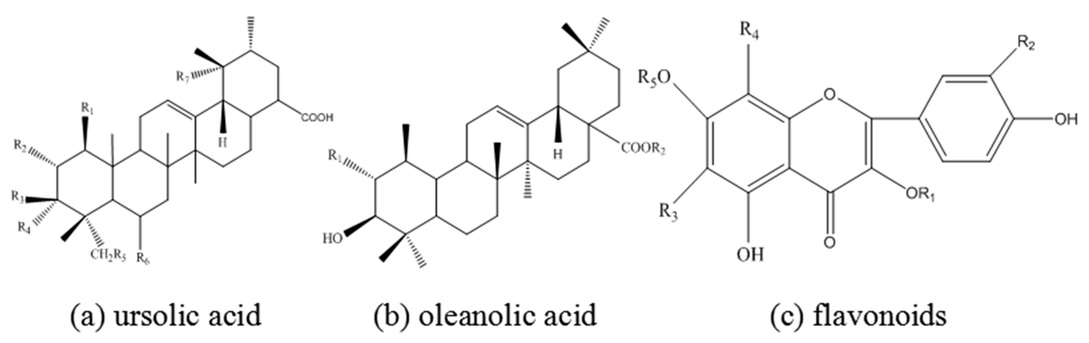Materials 10 00956 g001