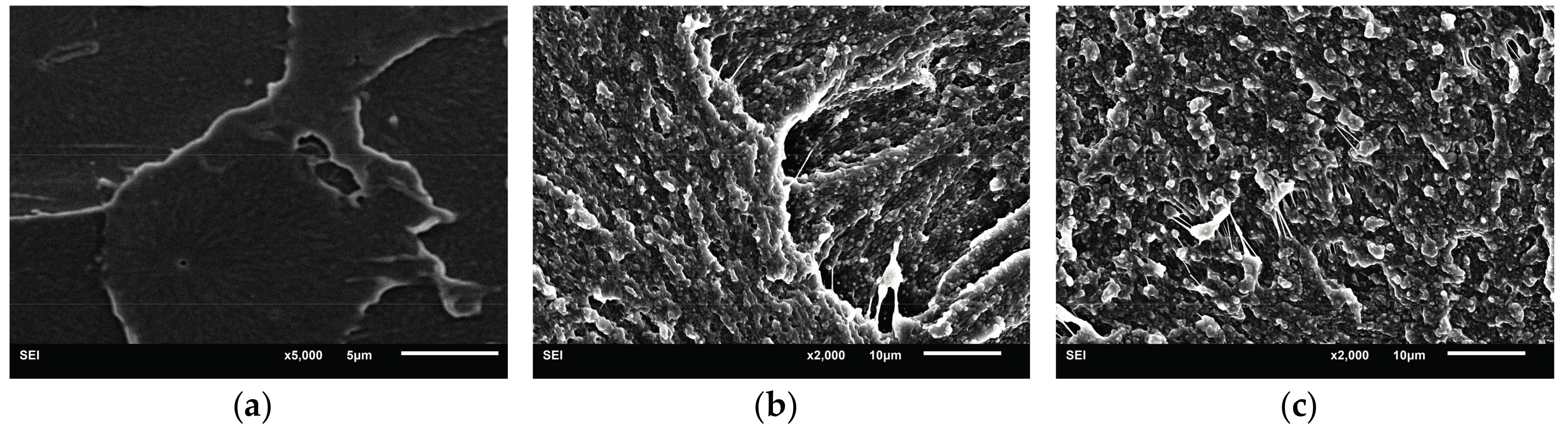 Materials 10 00957 g008a