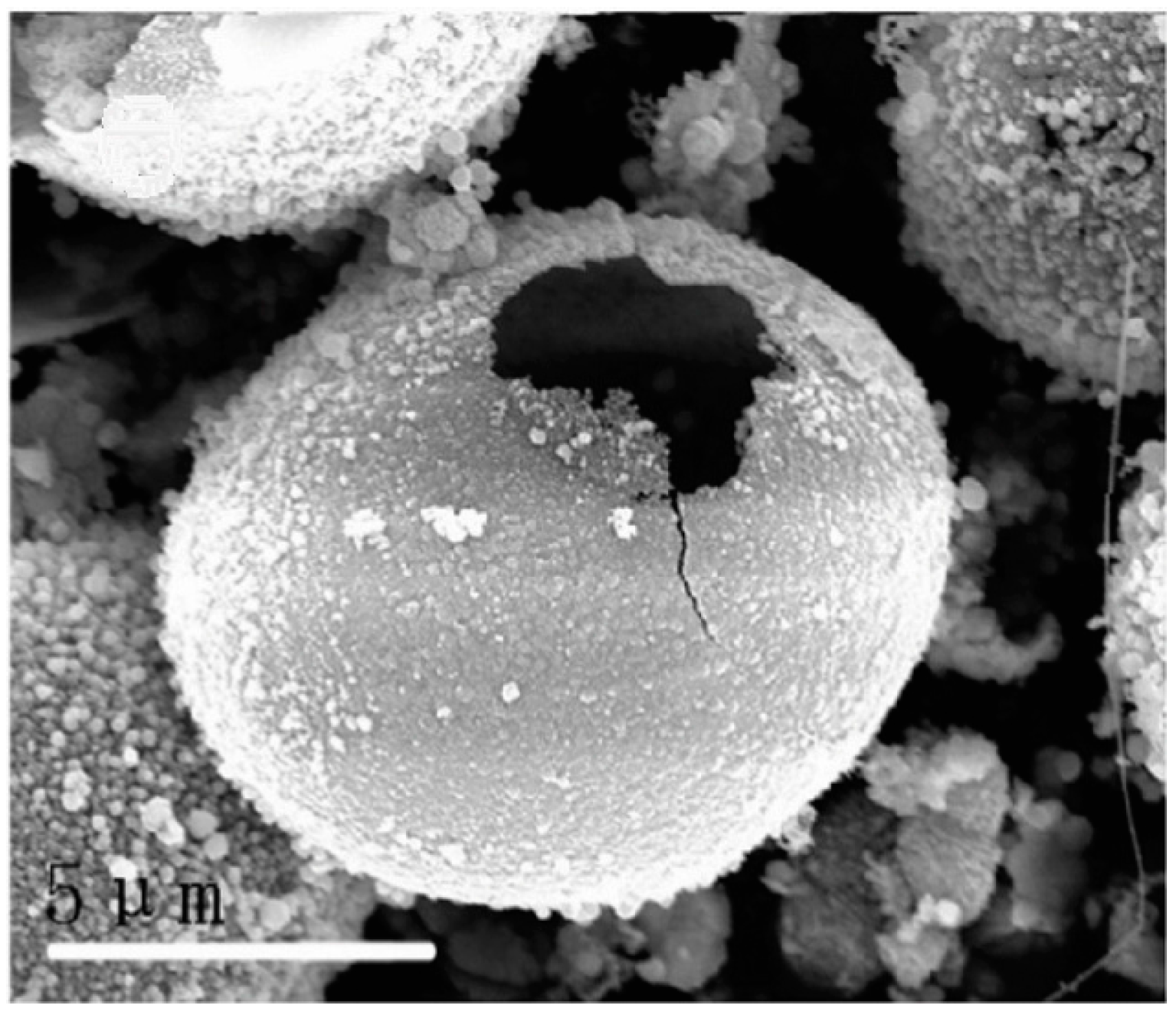 Materials 10 00995 g002