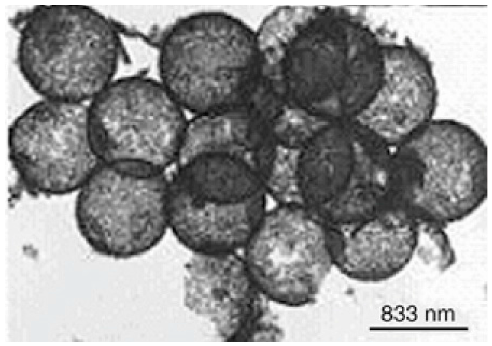 Materials 10 00995 g004