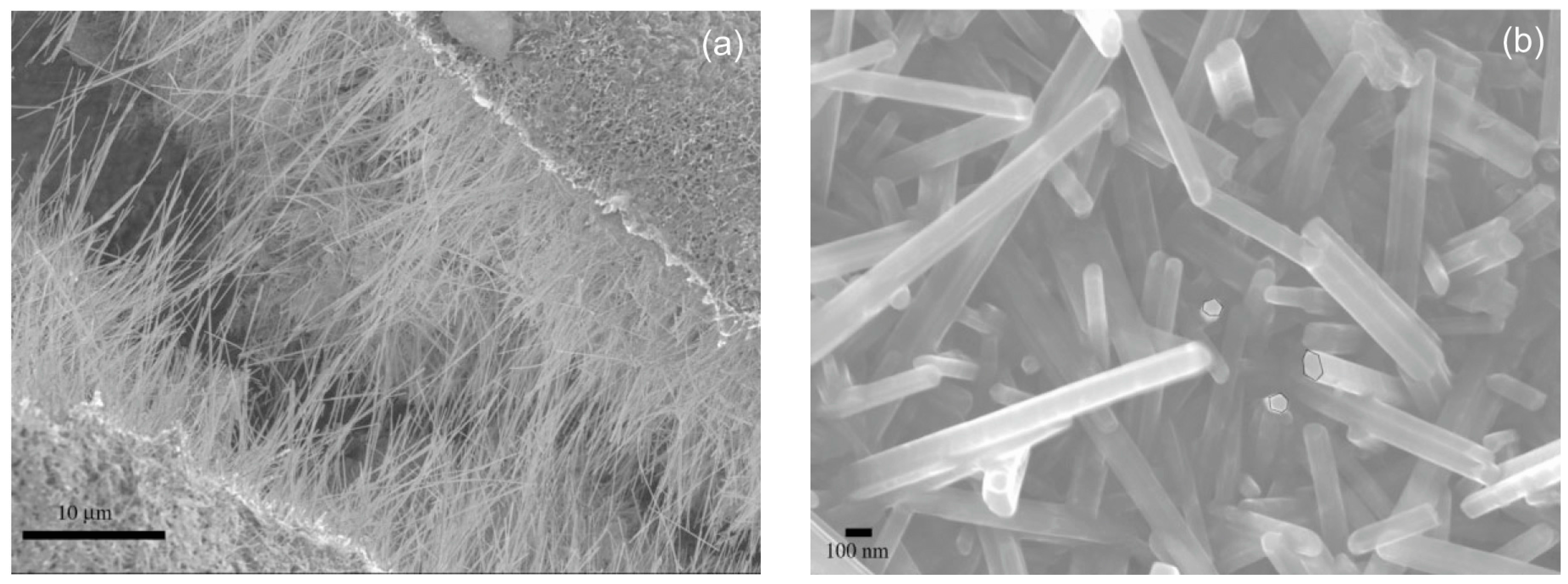 Materials 10 00995 g007