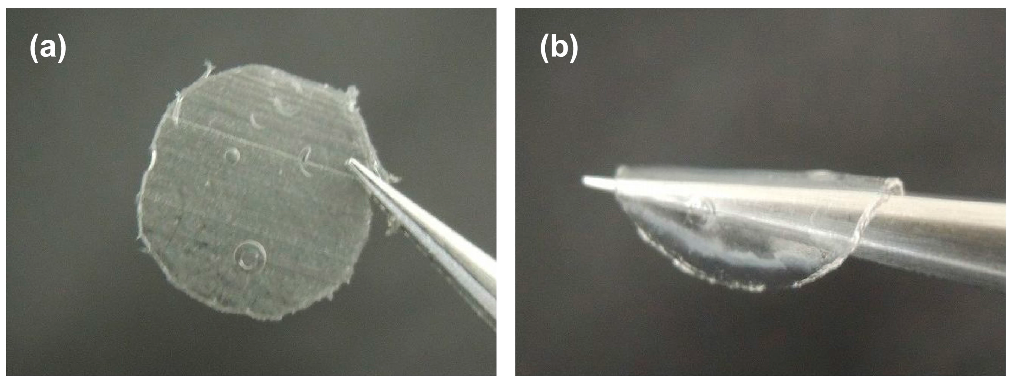Materials 10 01075 g008