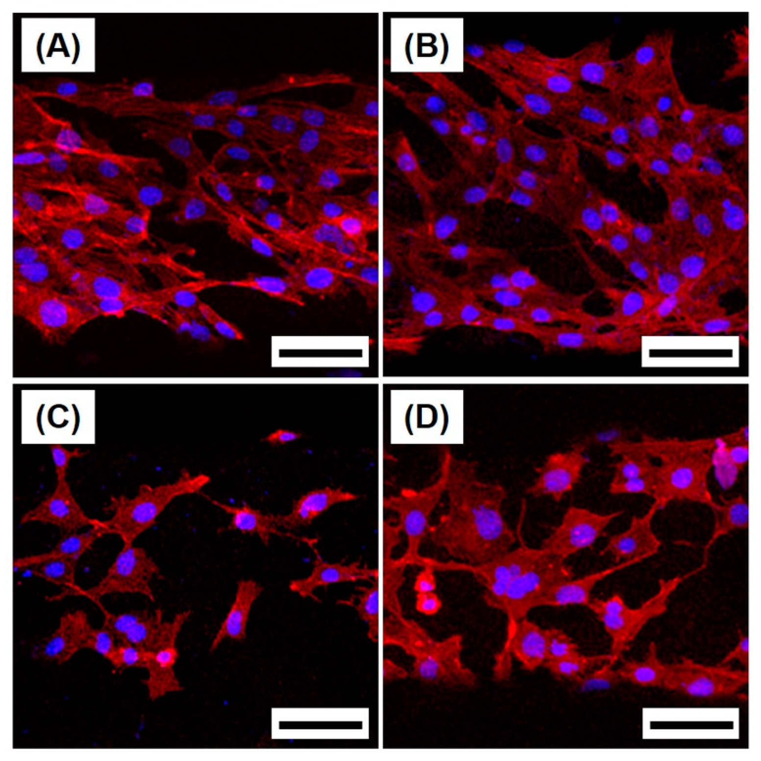 Materials 10 01123 g008