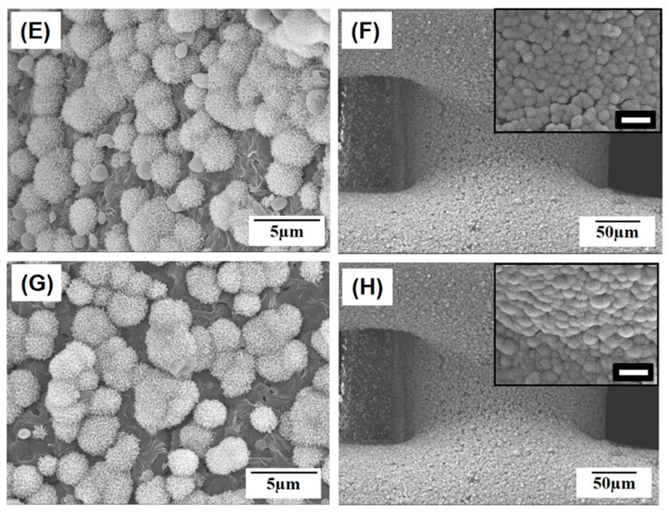 Materials 10 01123 g010b
