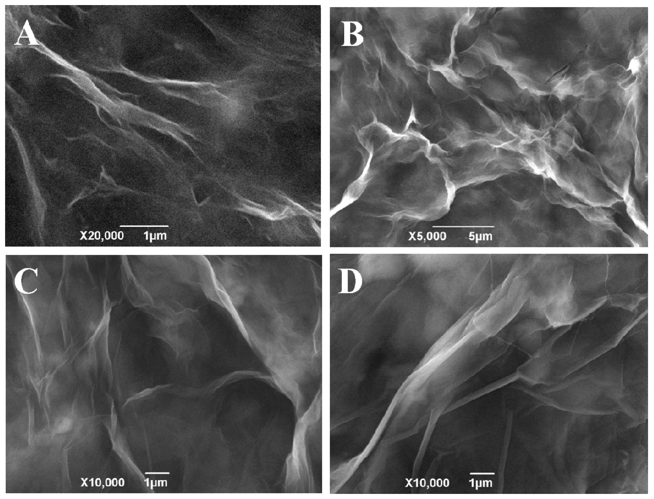 Materials 10 01139 g001