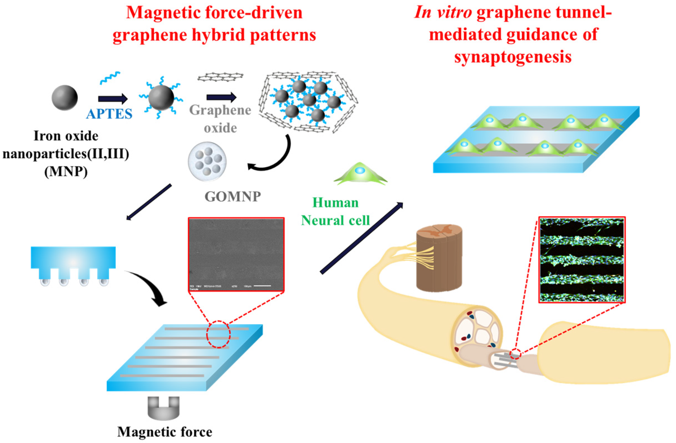 Materials 10 01151 g001