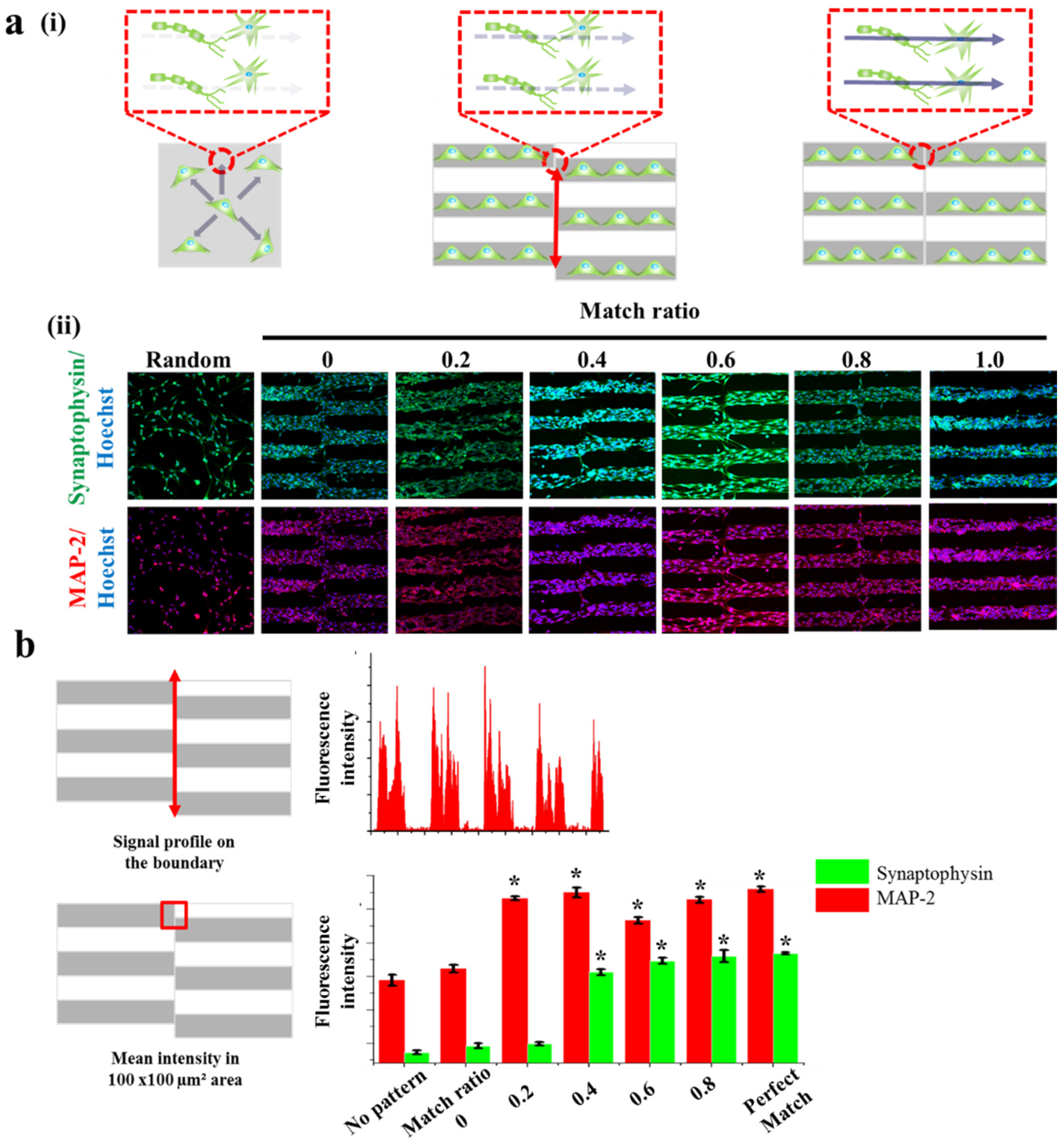 Materials 10 01151 g005