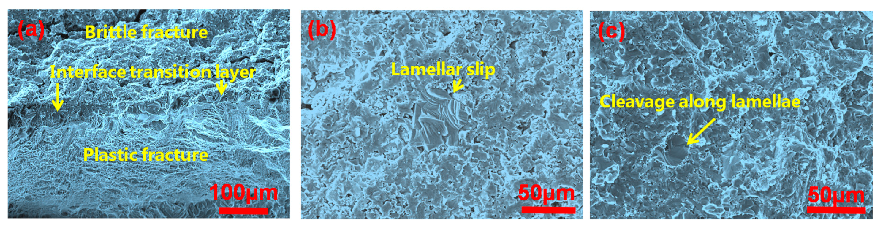 Materials 10 01175 g011 550