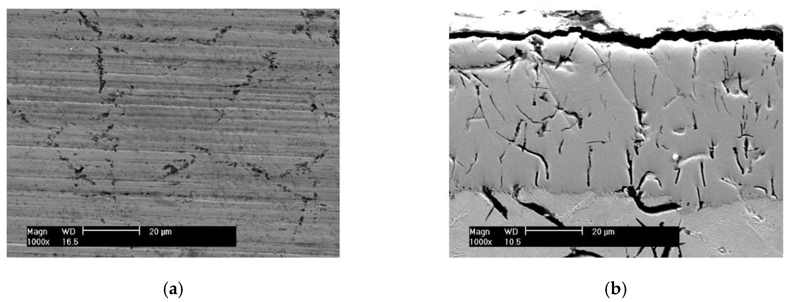 Materials 10 01176 g002