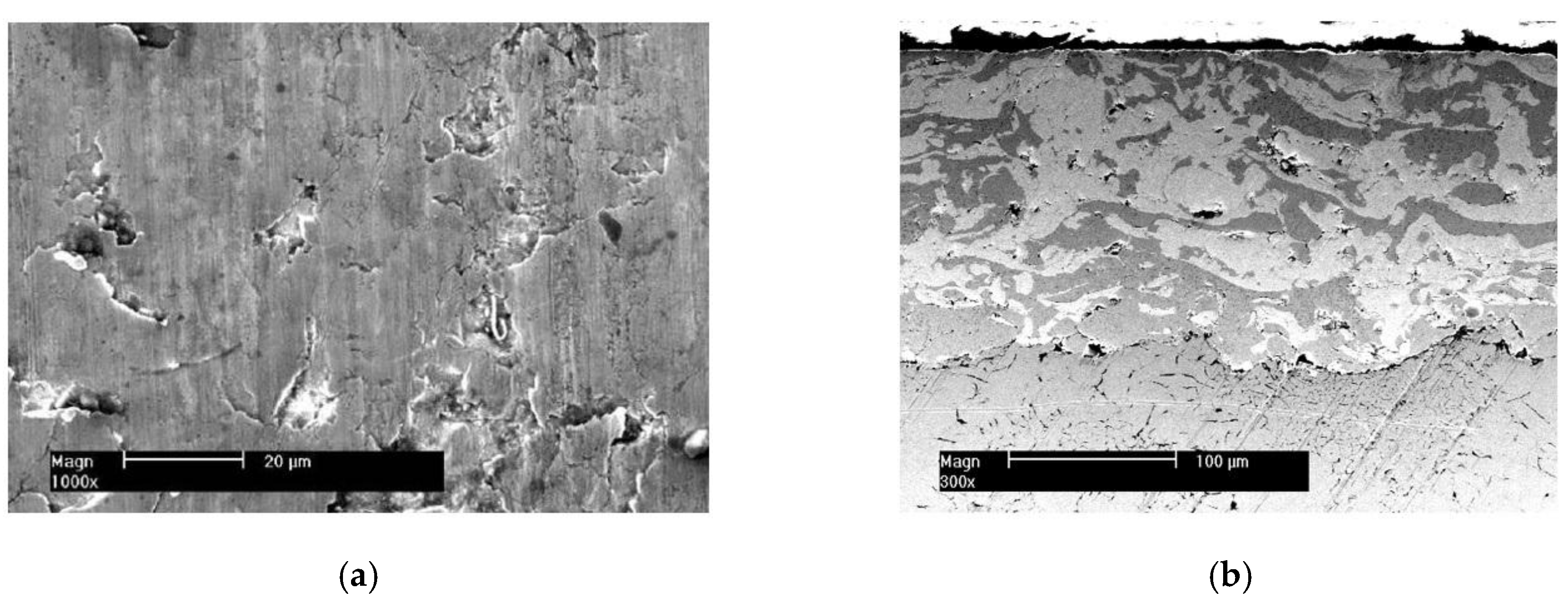 Materials 10 01176 g003