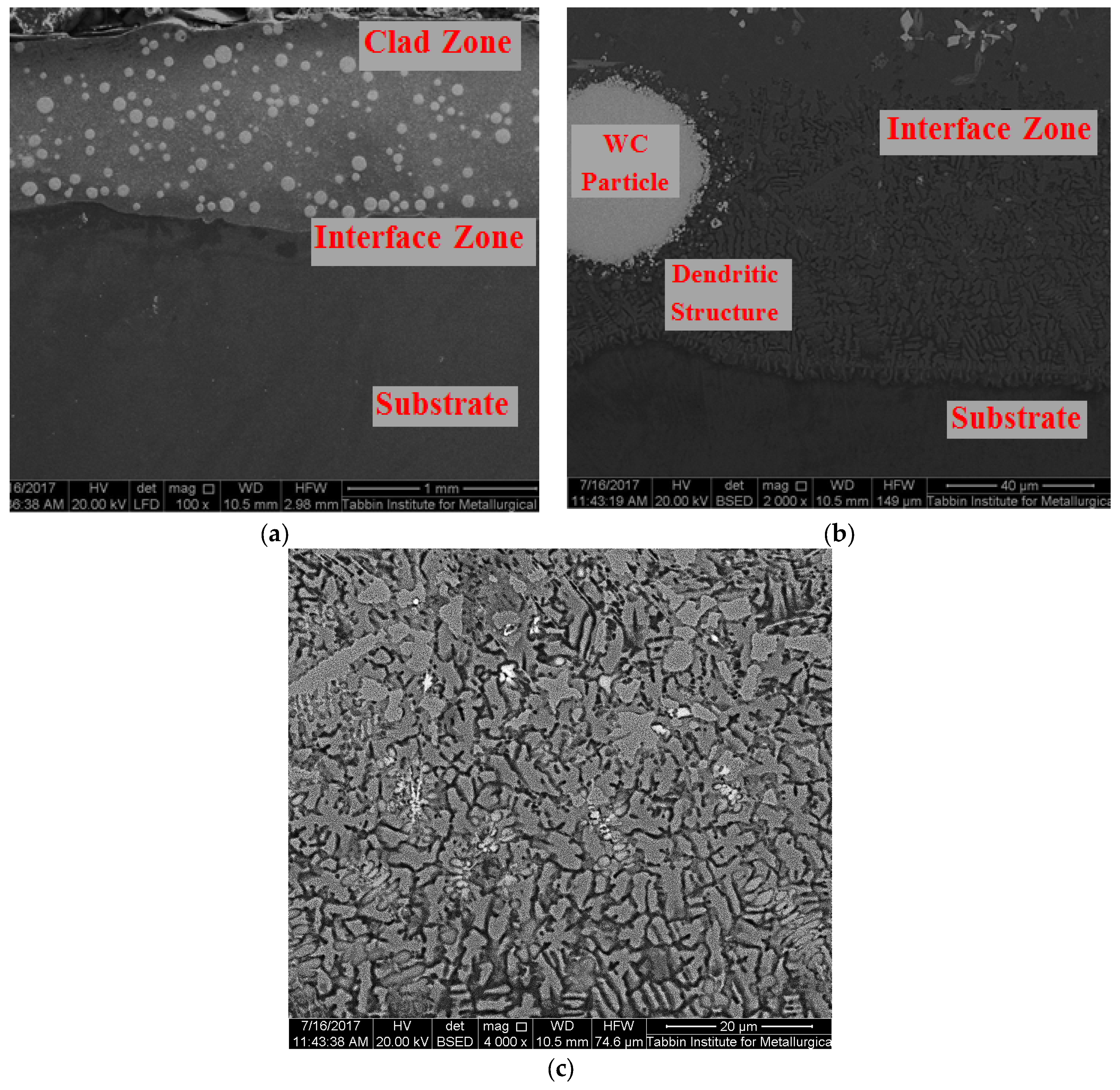Materials 10 01178 g007