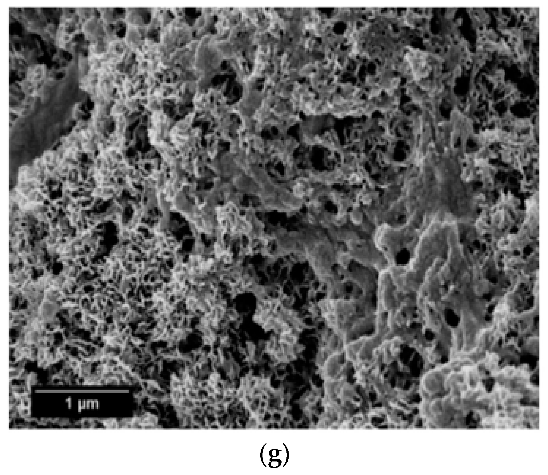 Materials 10 01188 g005b Materials 10 01188 g005b