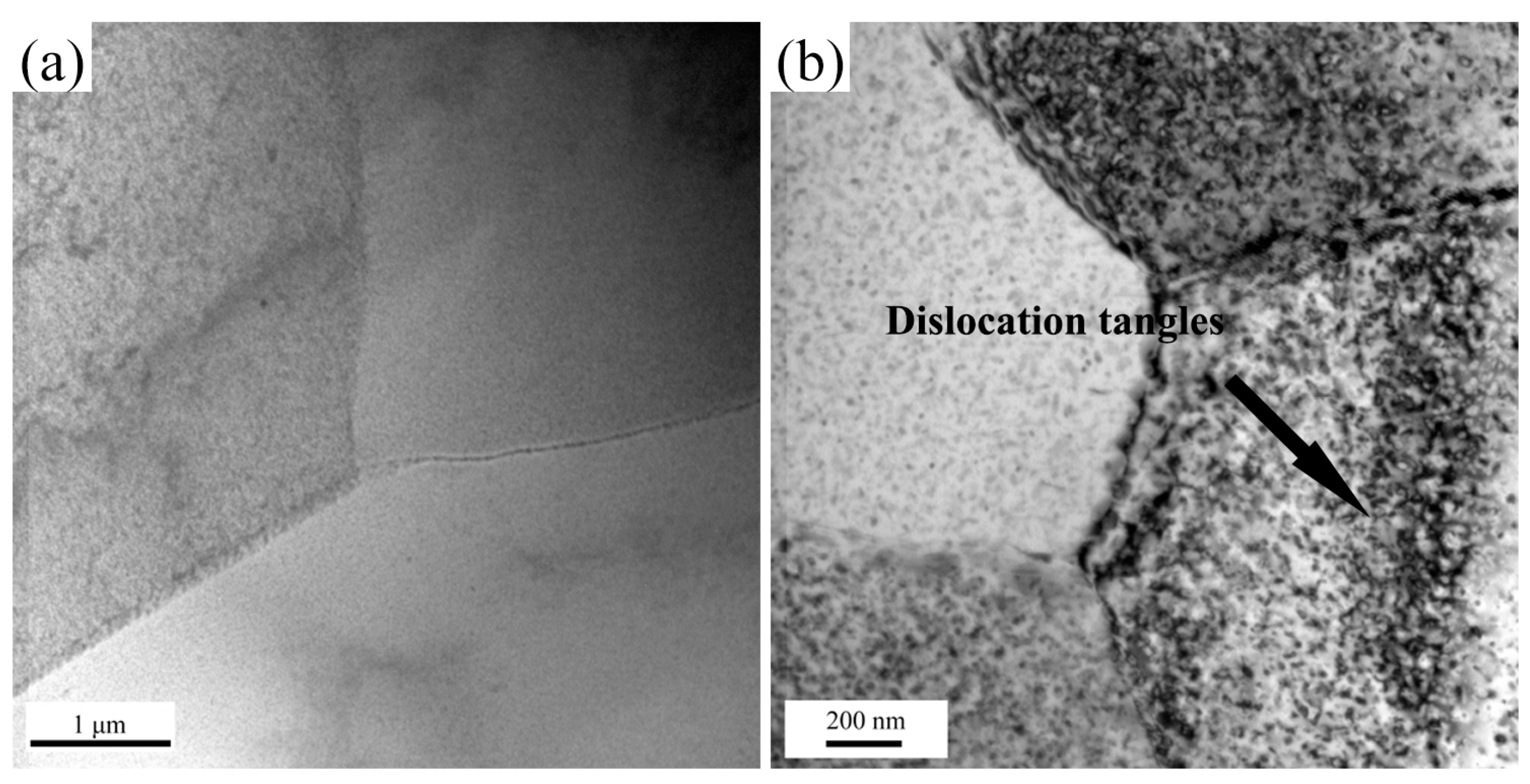 Materials 10 01193 g008