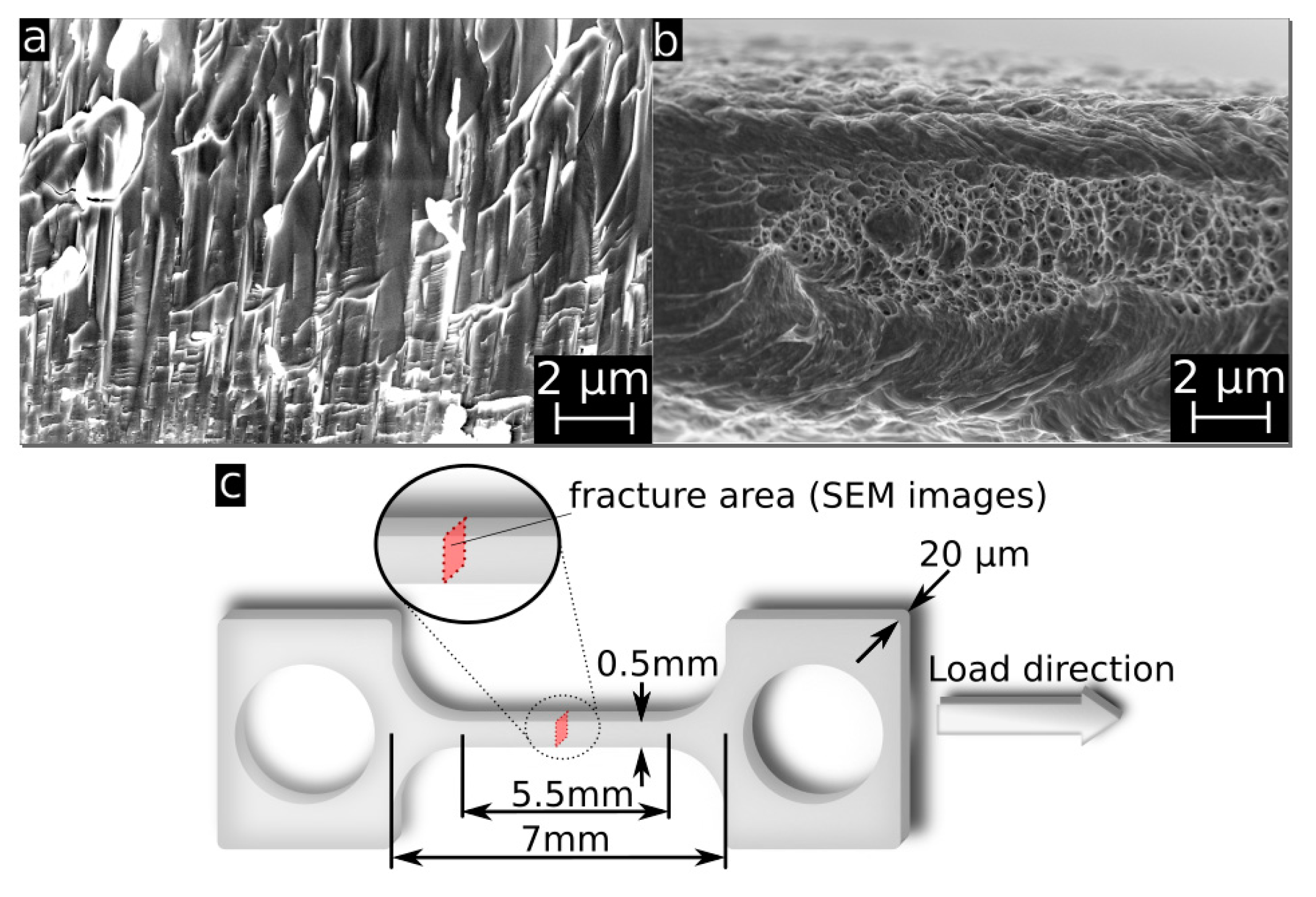 Materials 10 01196 g007