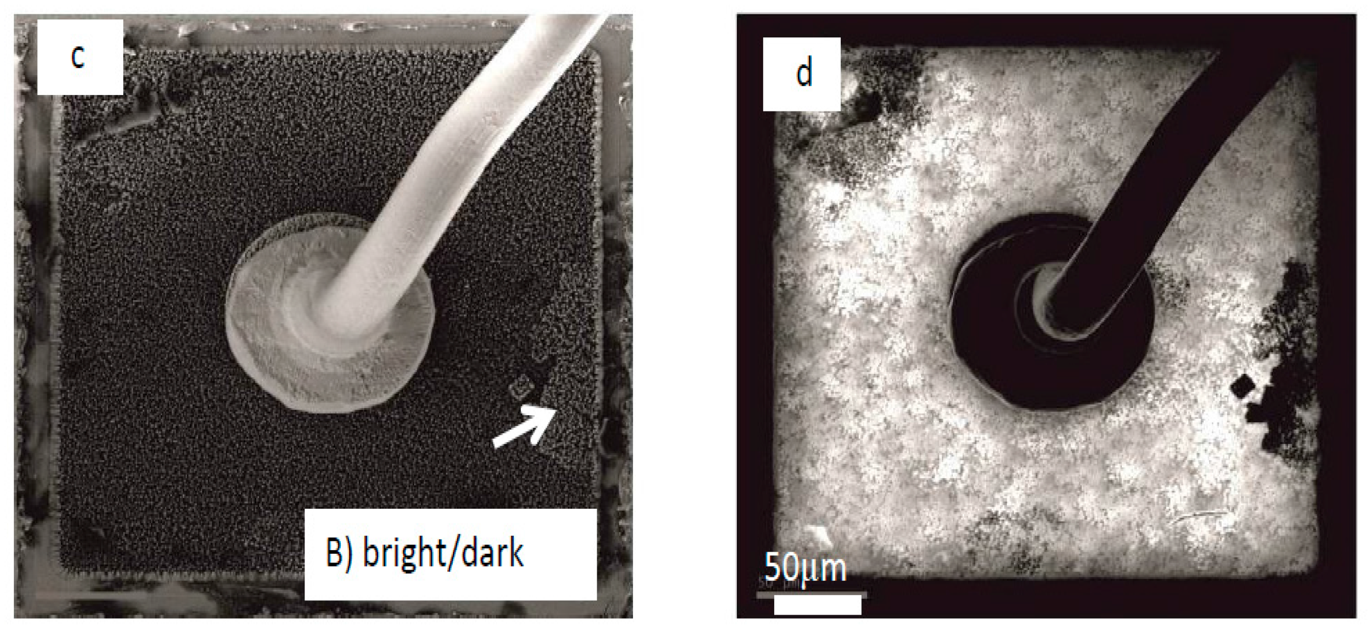 Materials 10 01202 g003b