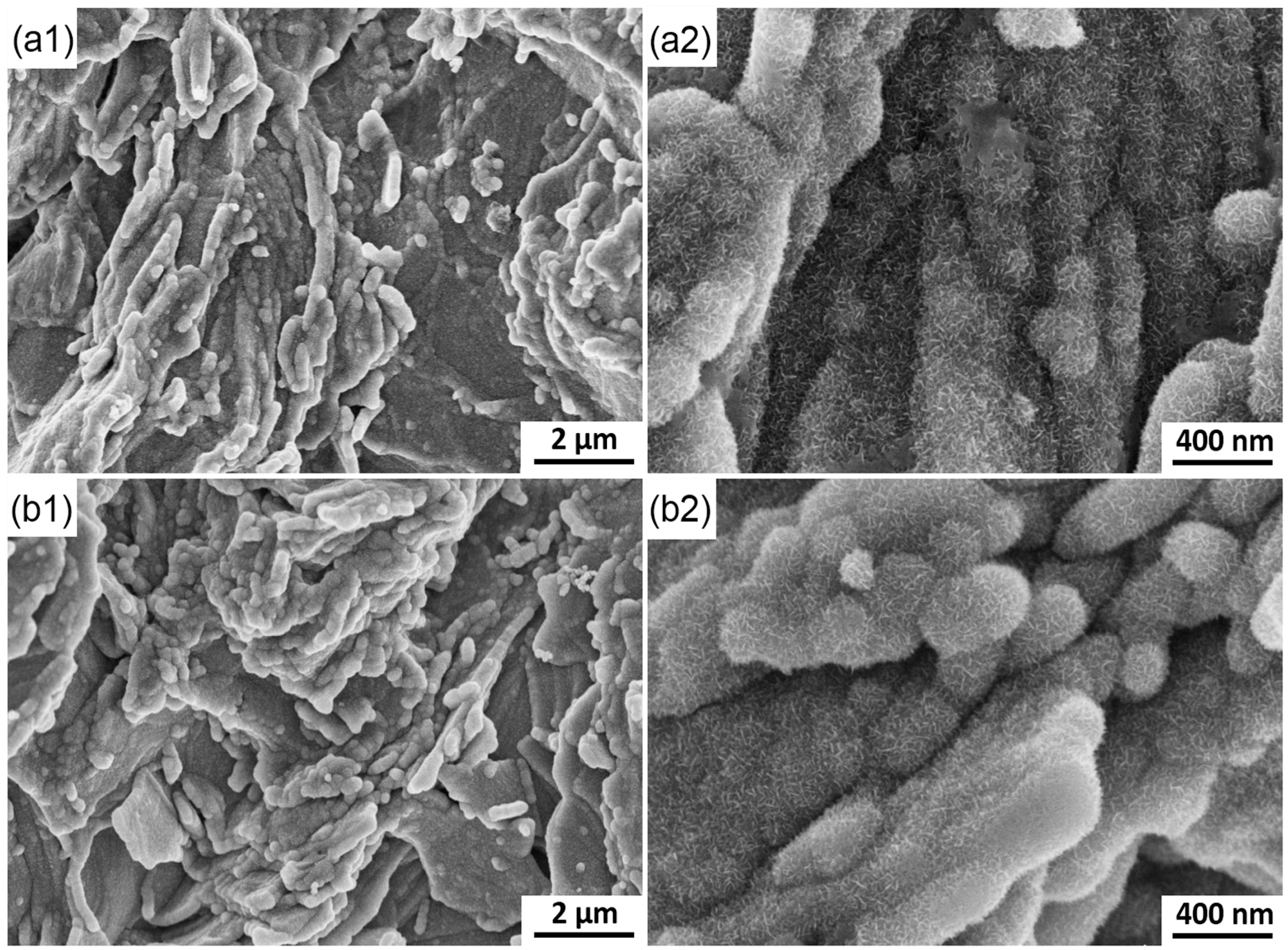Materials 10 01205 g010