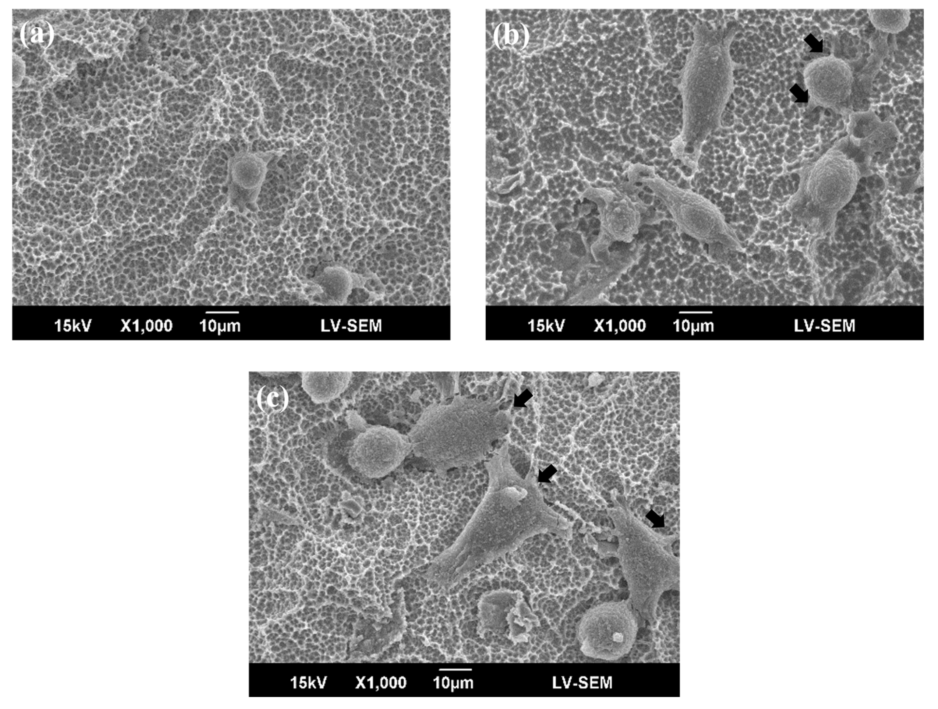 Materials 10 01223 g005