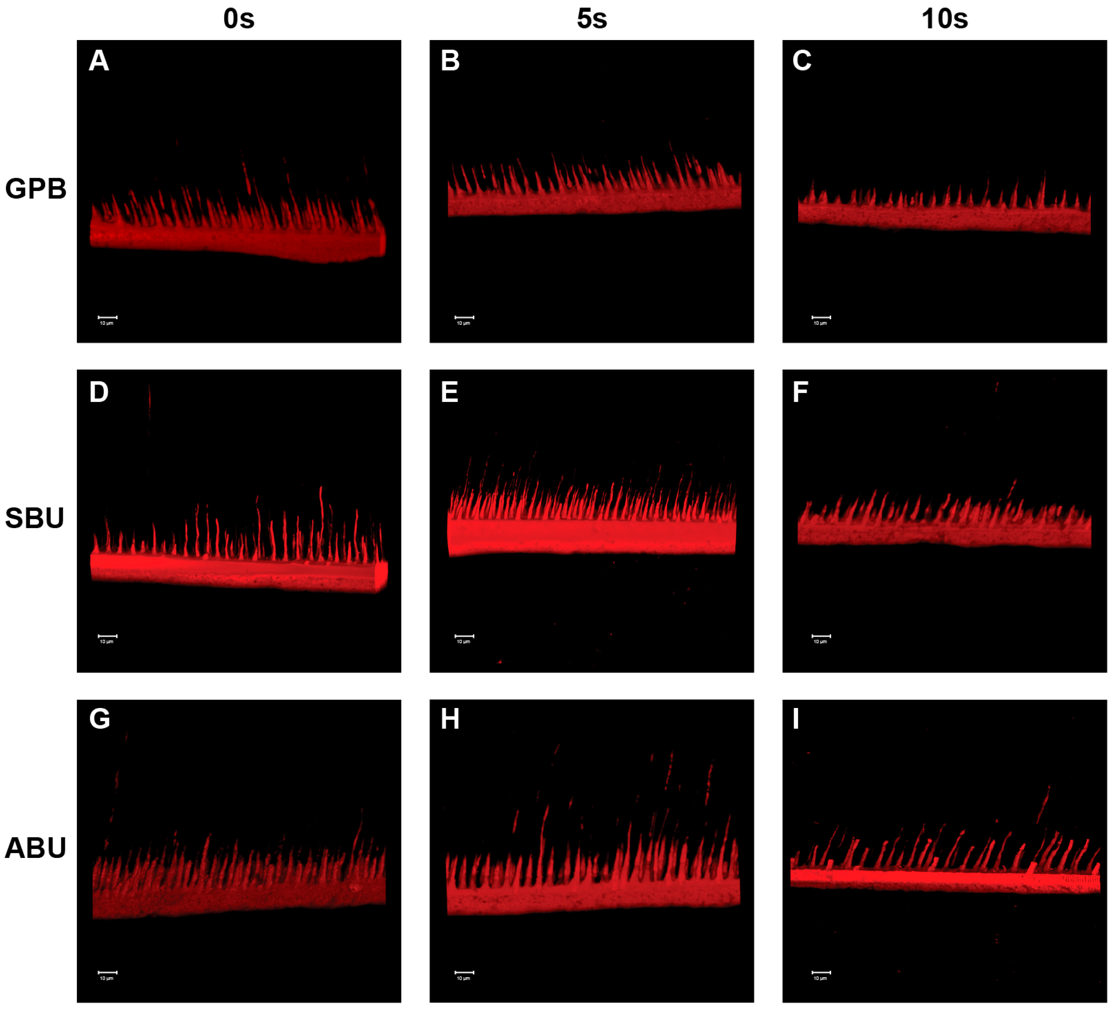 Materials 10 01224 g005