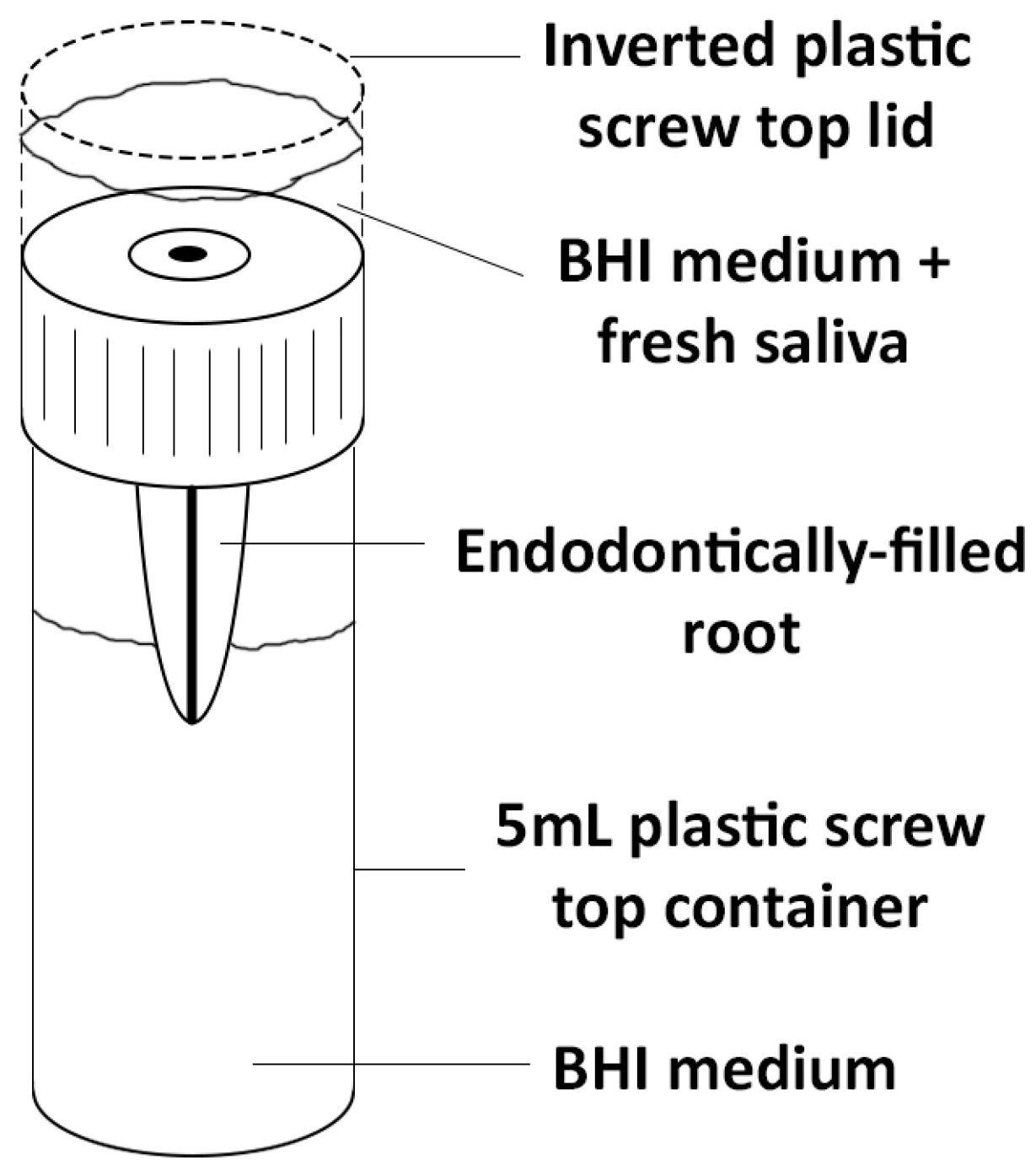 Materials 10 01228 g001