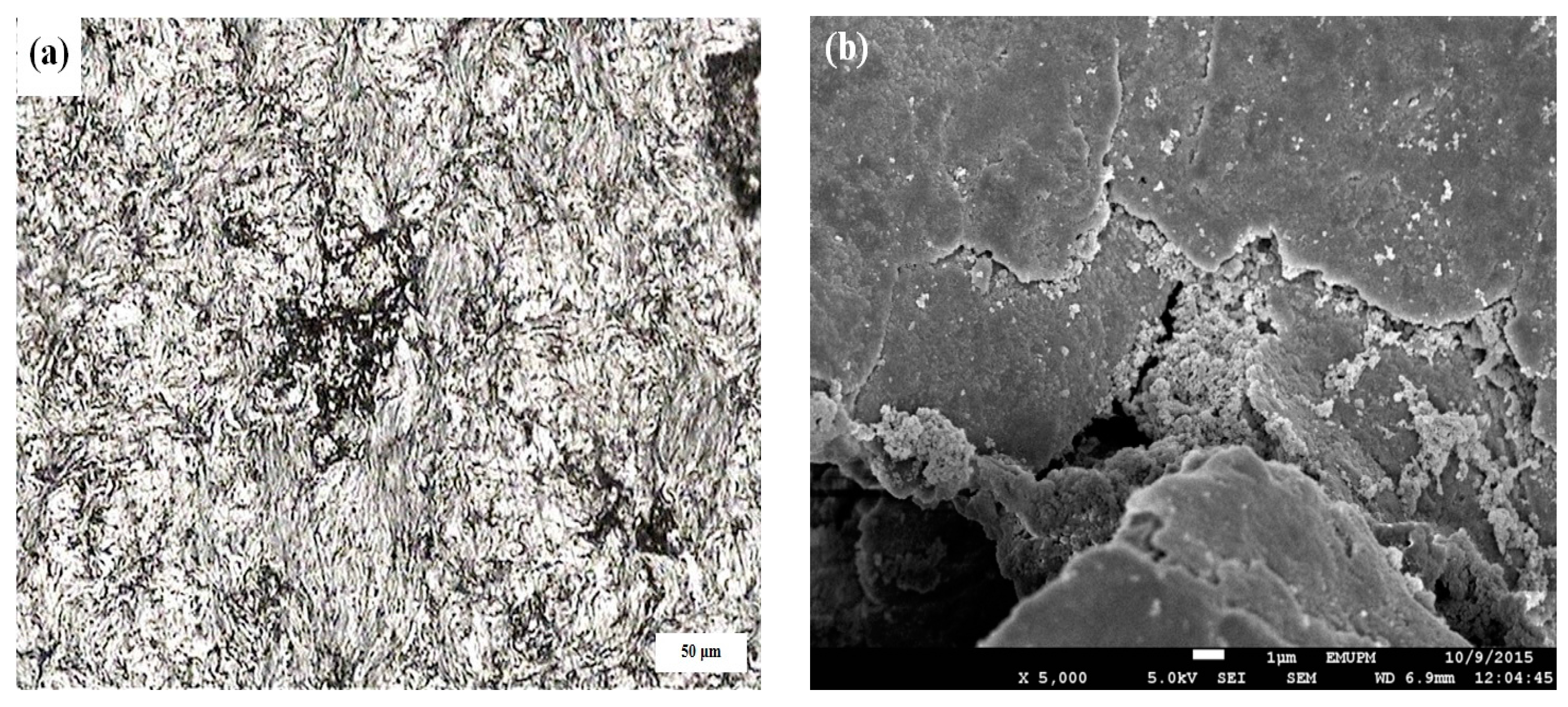 Materials 10 01232 g007 550