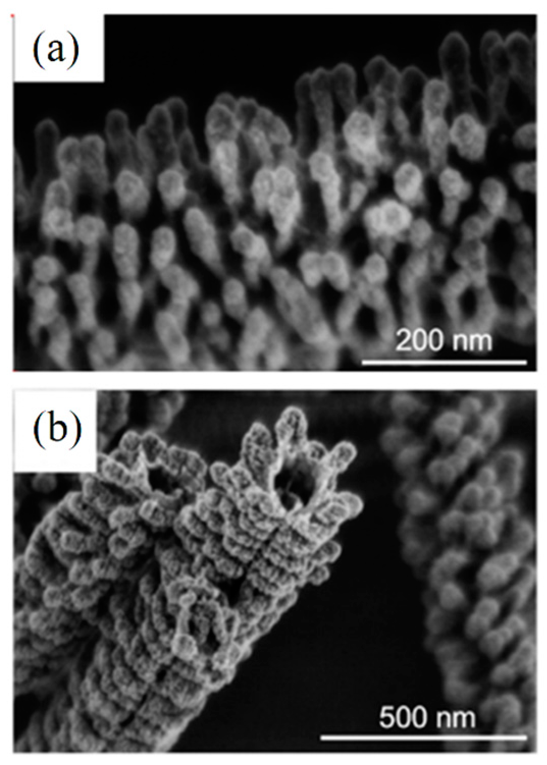 Materials 10 01238 g012