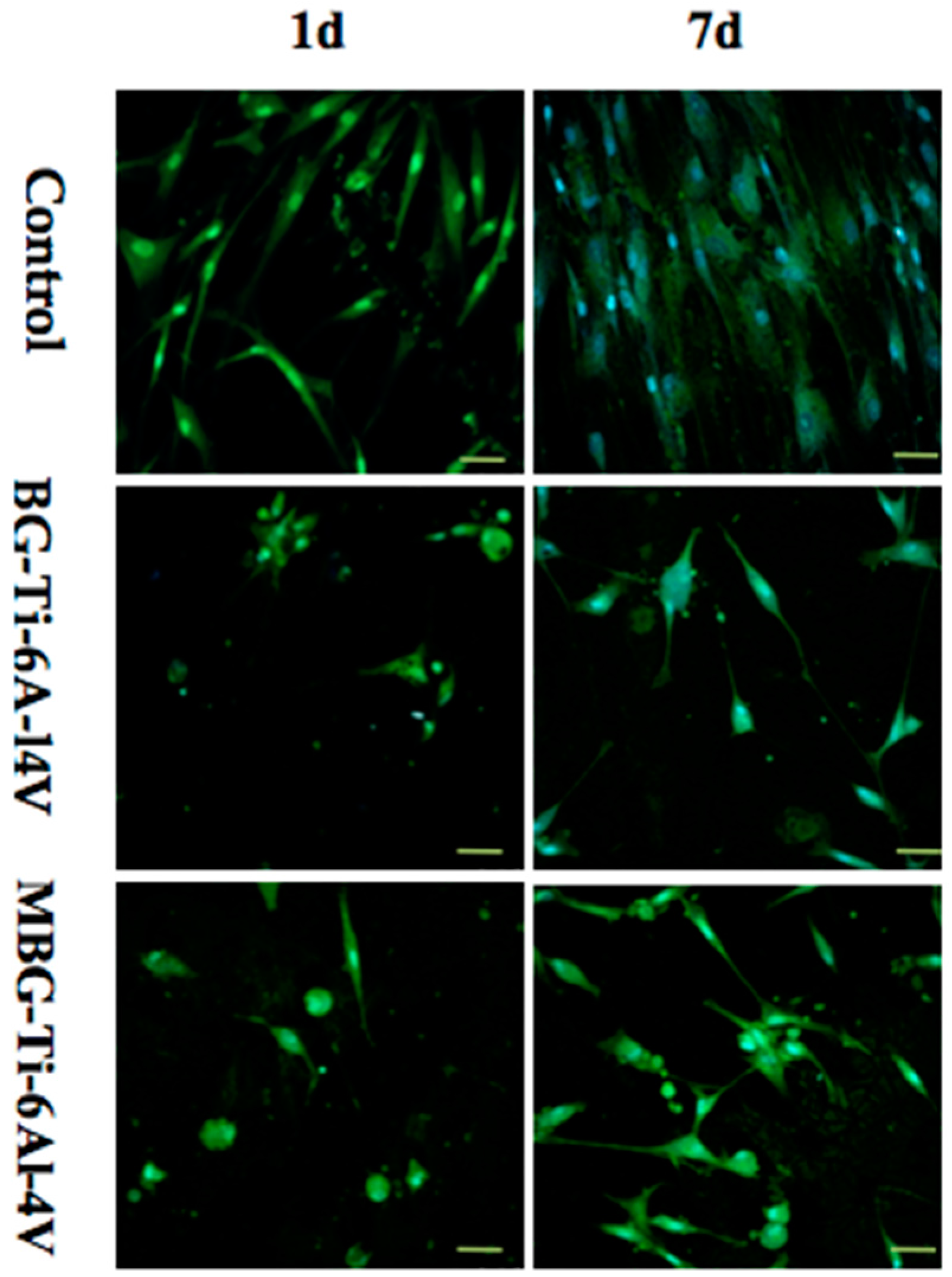 Materials 10 01244 g007 Materials 10 01244 g007