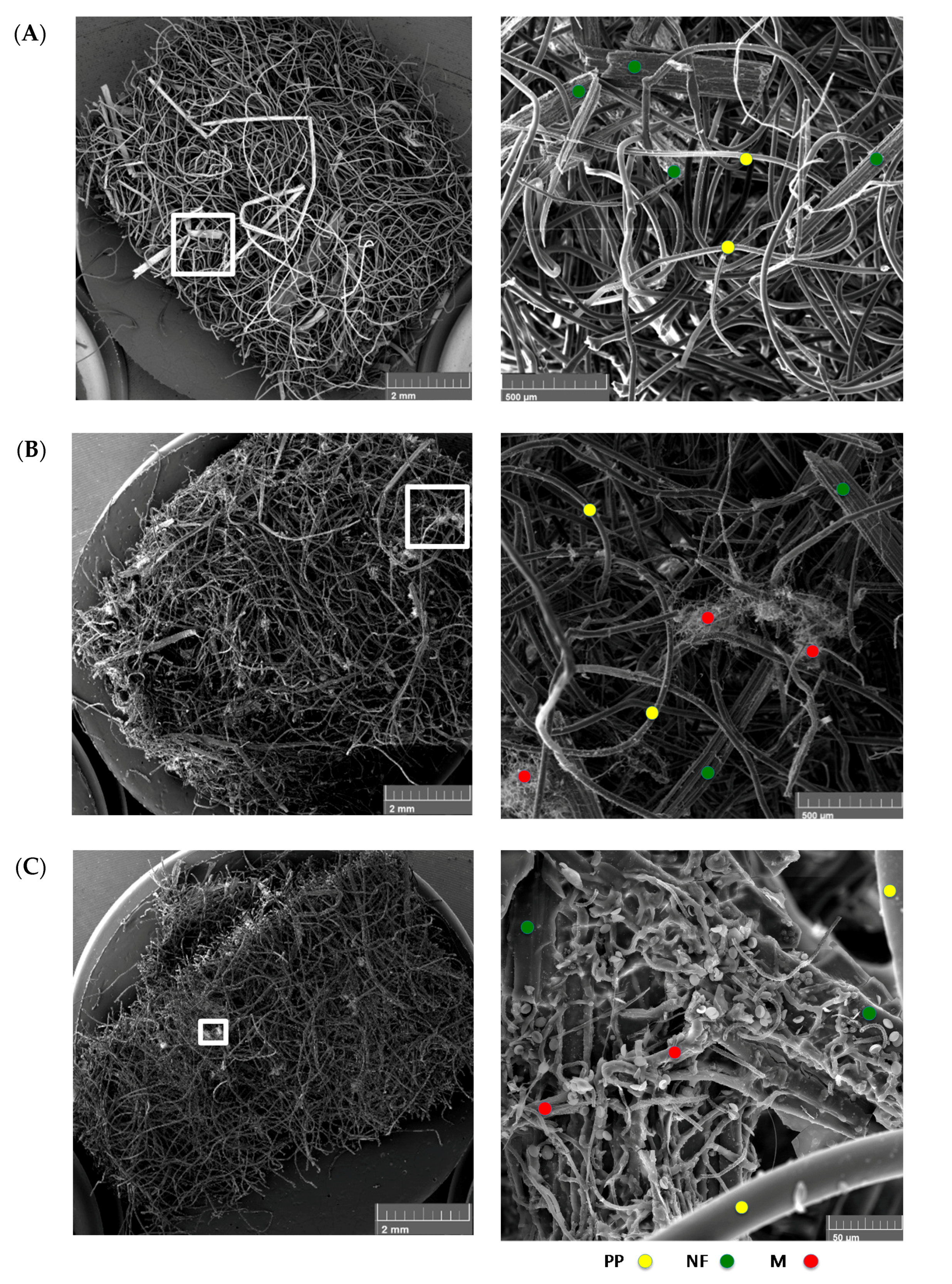 Materials 10 01252 g005 550