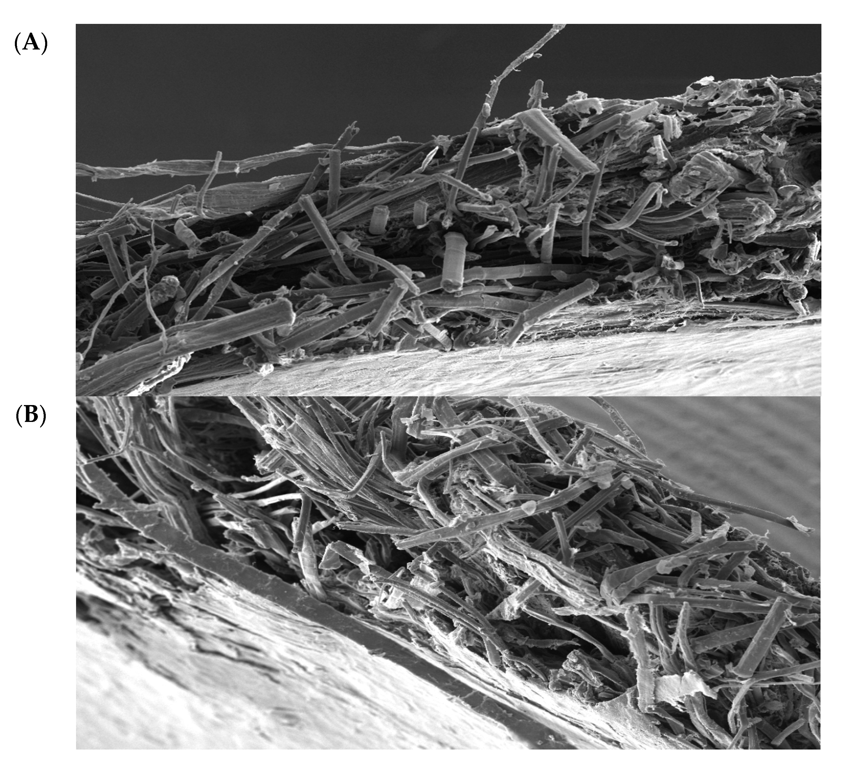 Materials 10 01252 g006a 550