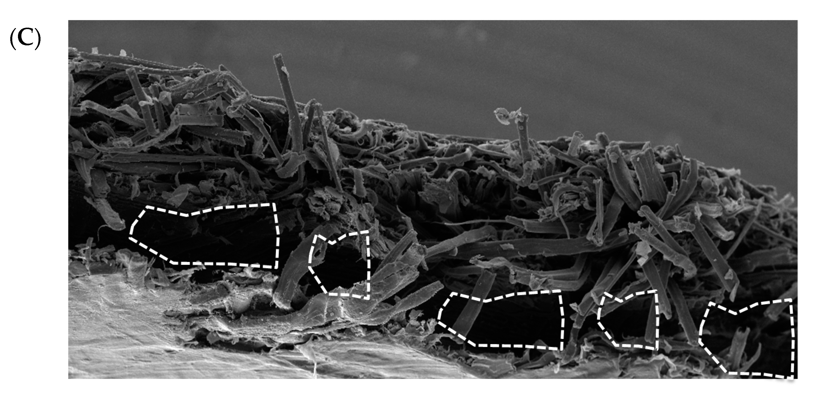 Materials 10 01252 g006b 550