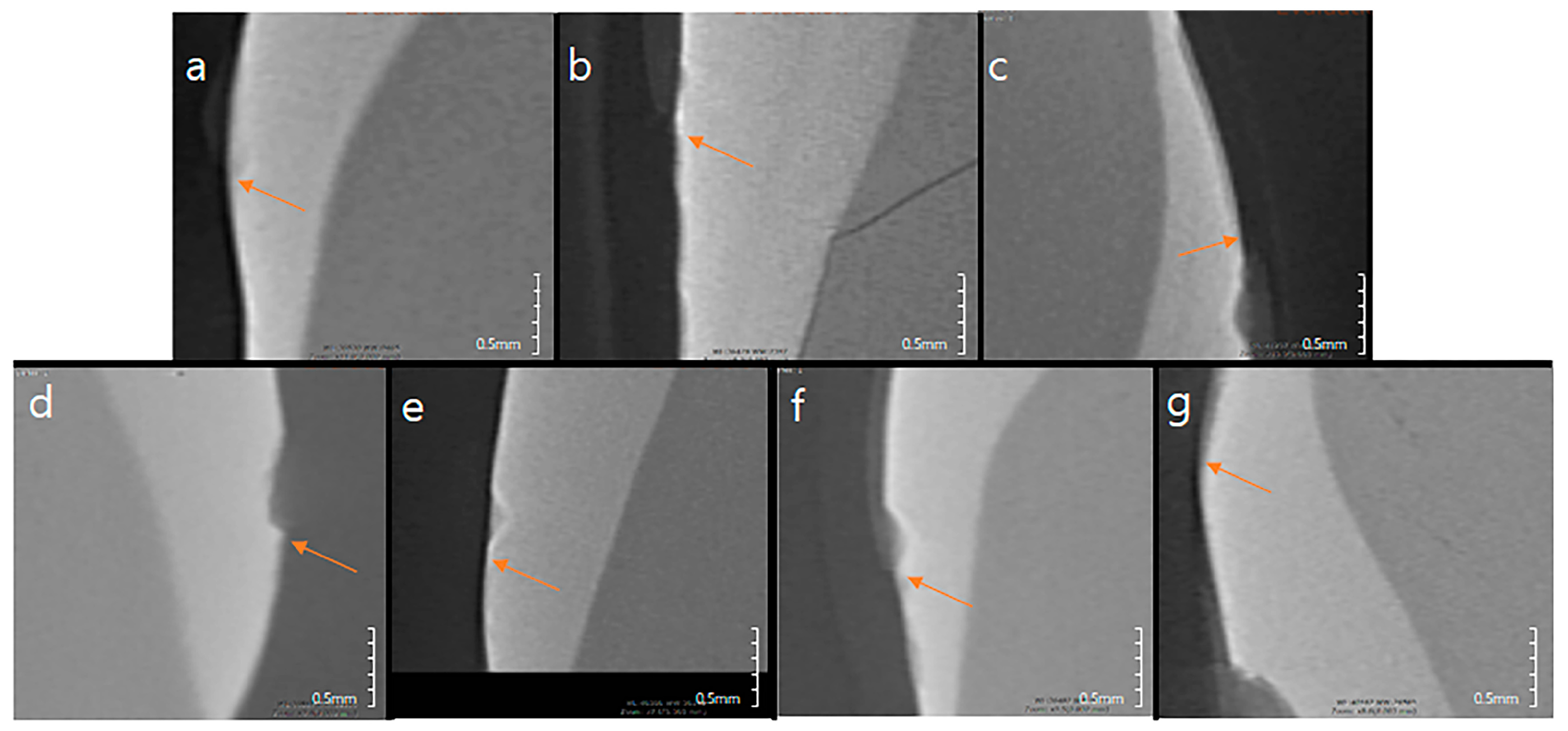 Materials 10 01253 g007