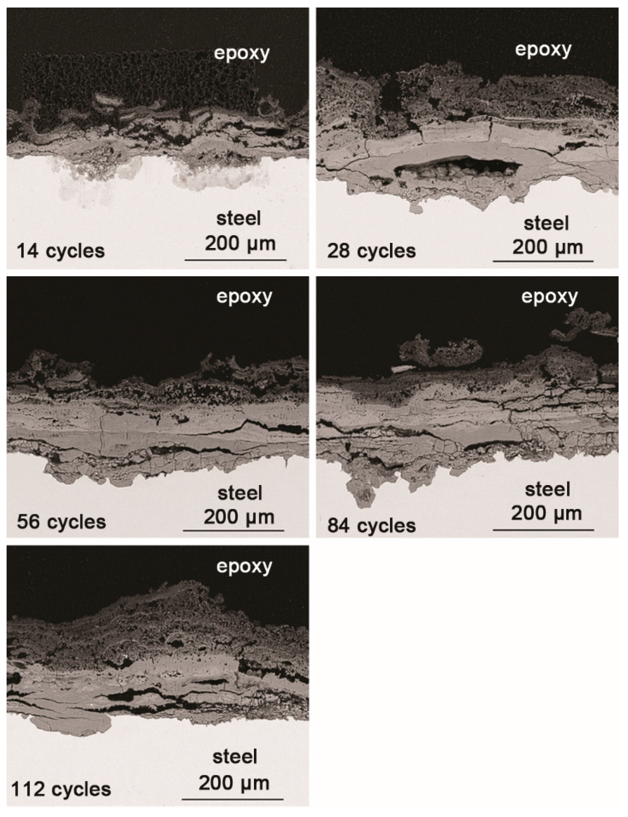 Materials 10 01262 g003 550