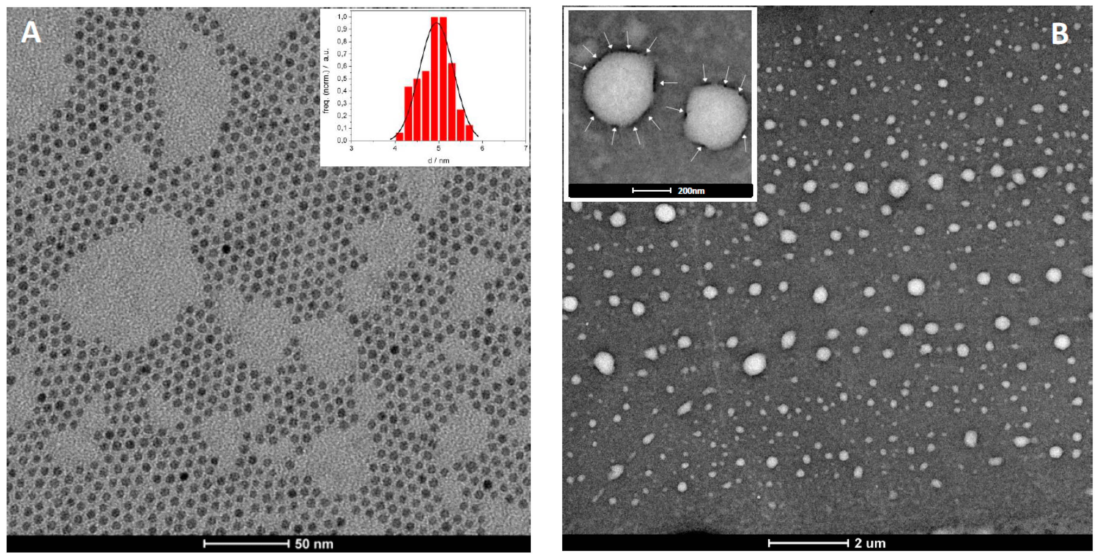 Materials 10 01303 g004 550