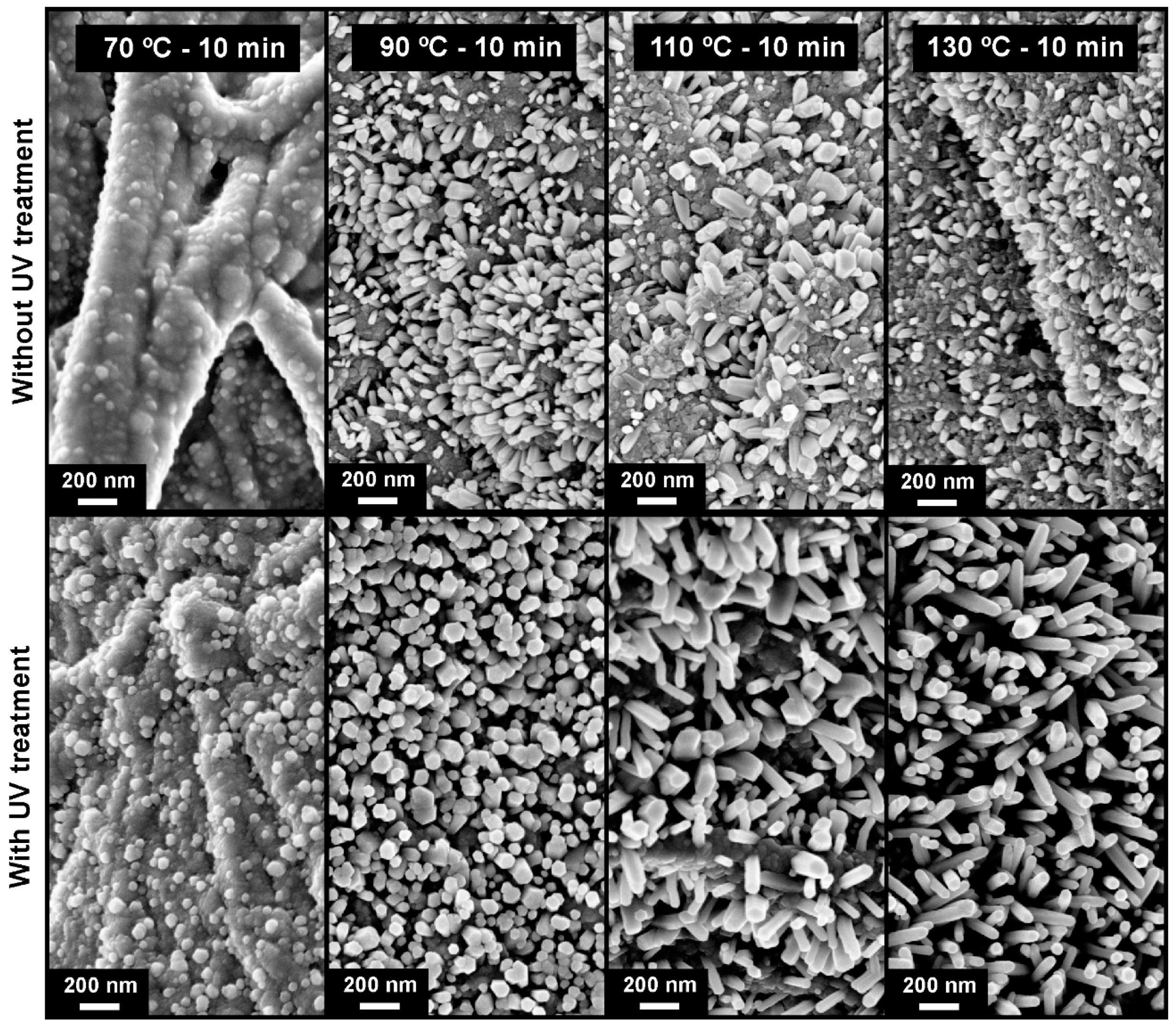 Materials 10 01308 g007 550