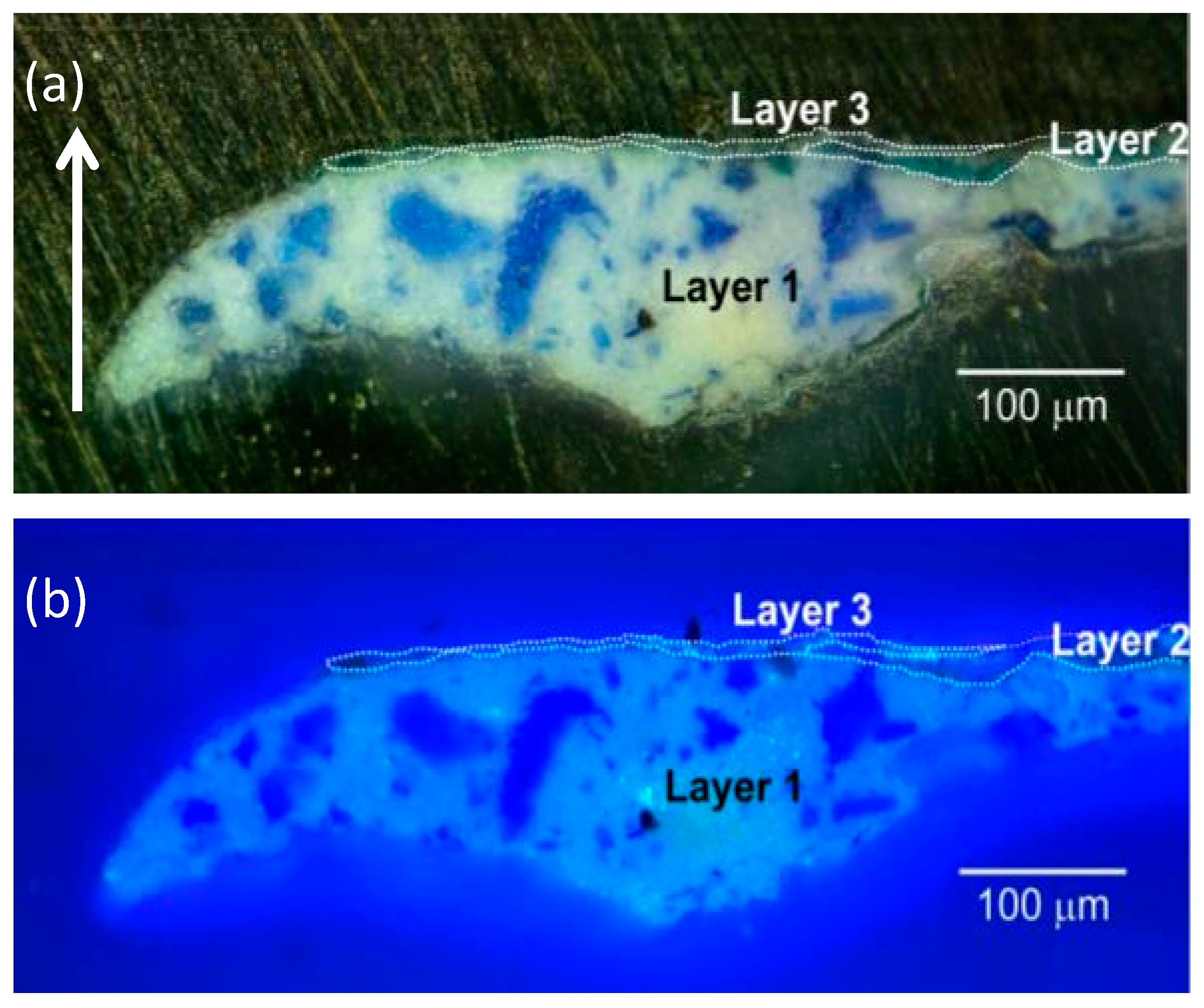 Materials 10 01335 g006 Materials 10 01335 g006