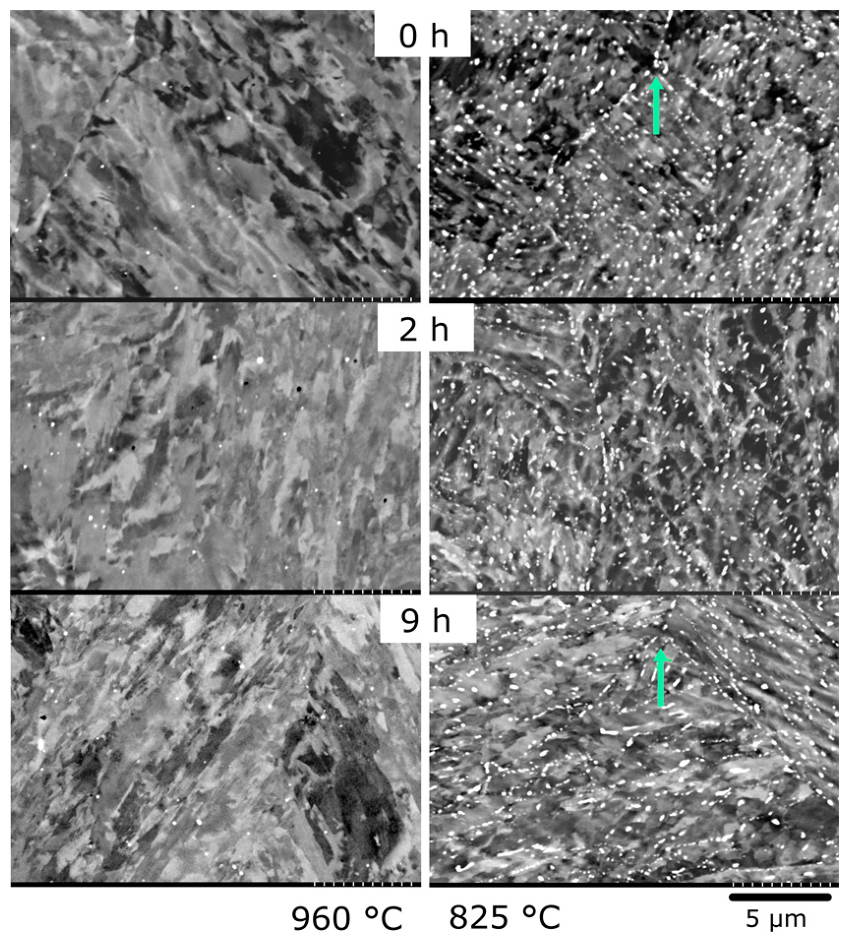 Materials 10 01346 g003