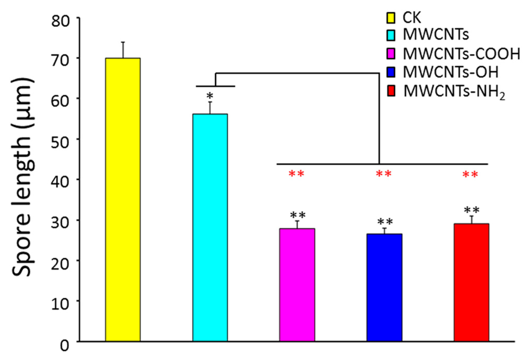 Materials 10 01375 g001