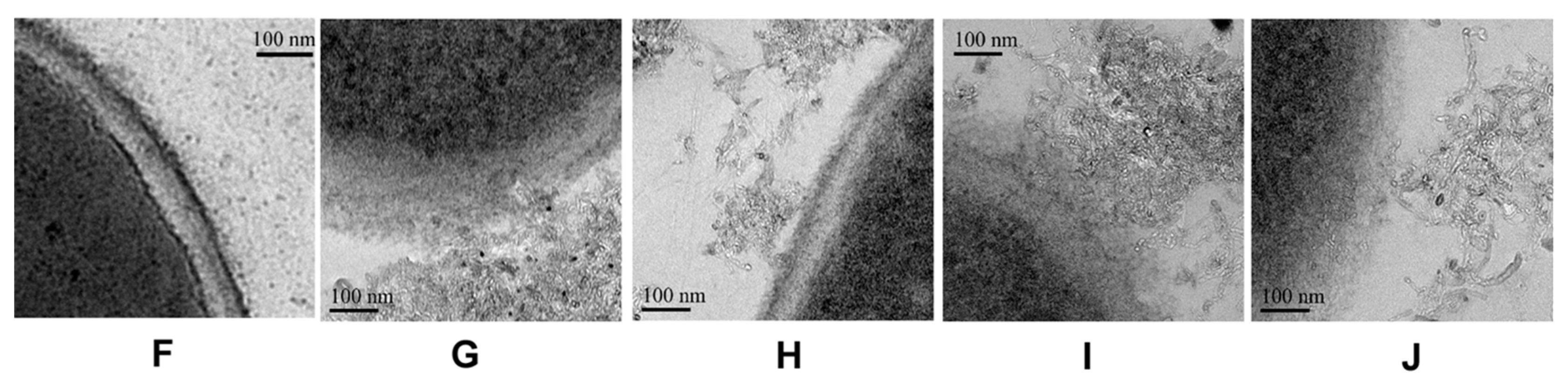 Materials 10 01375 g006b