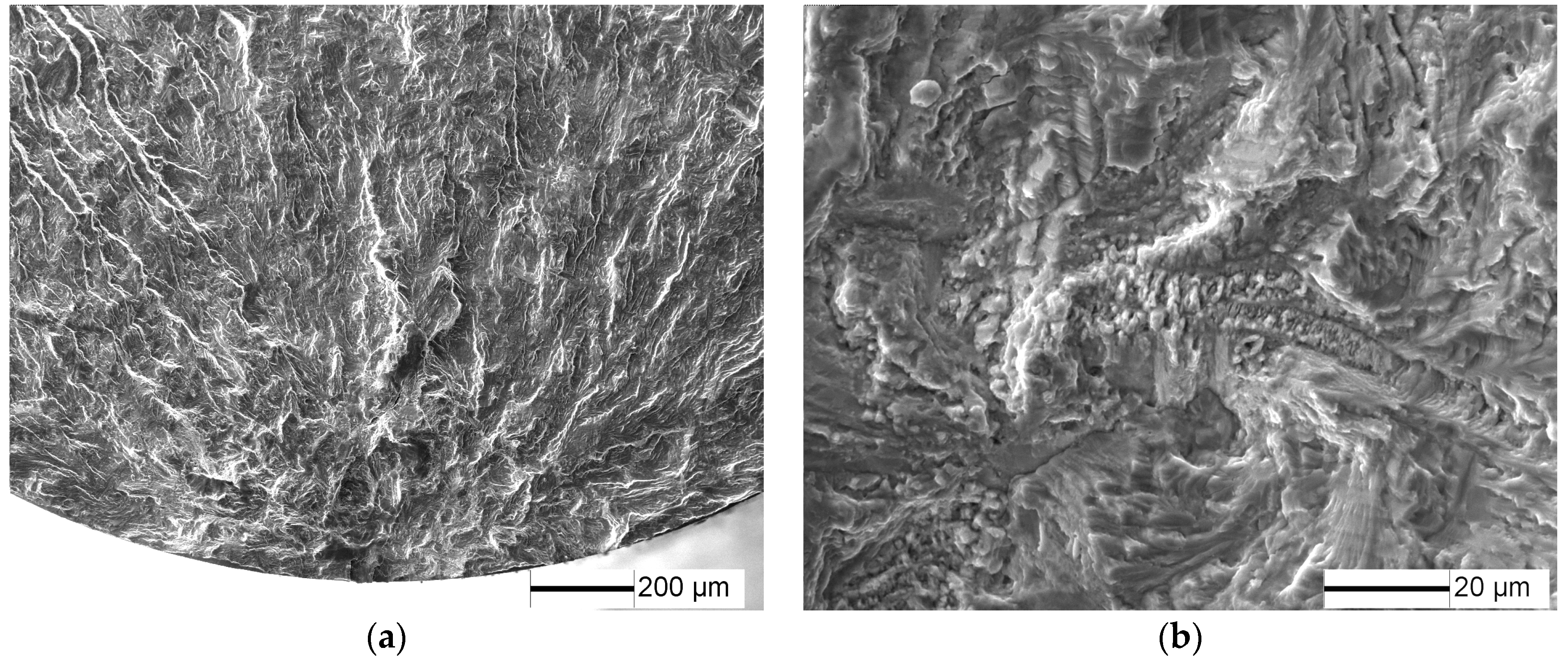 Materials 10 01384 g010