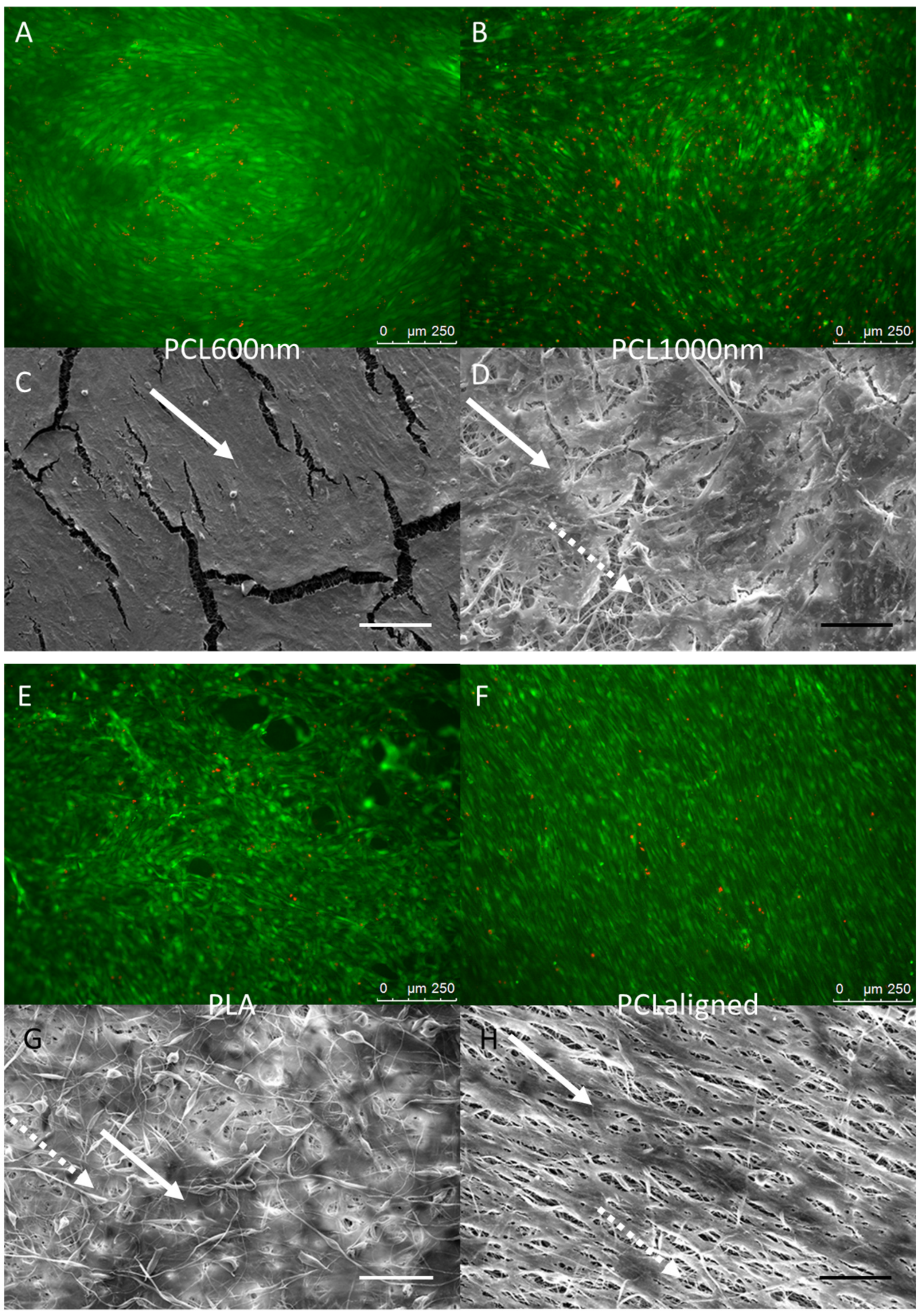Materials 10 01387 g004a