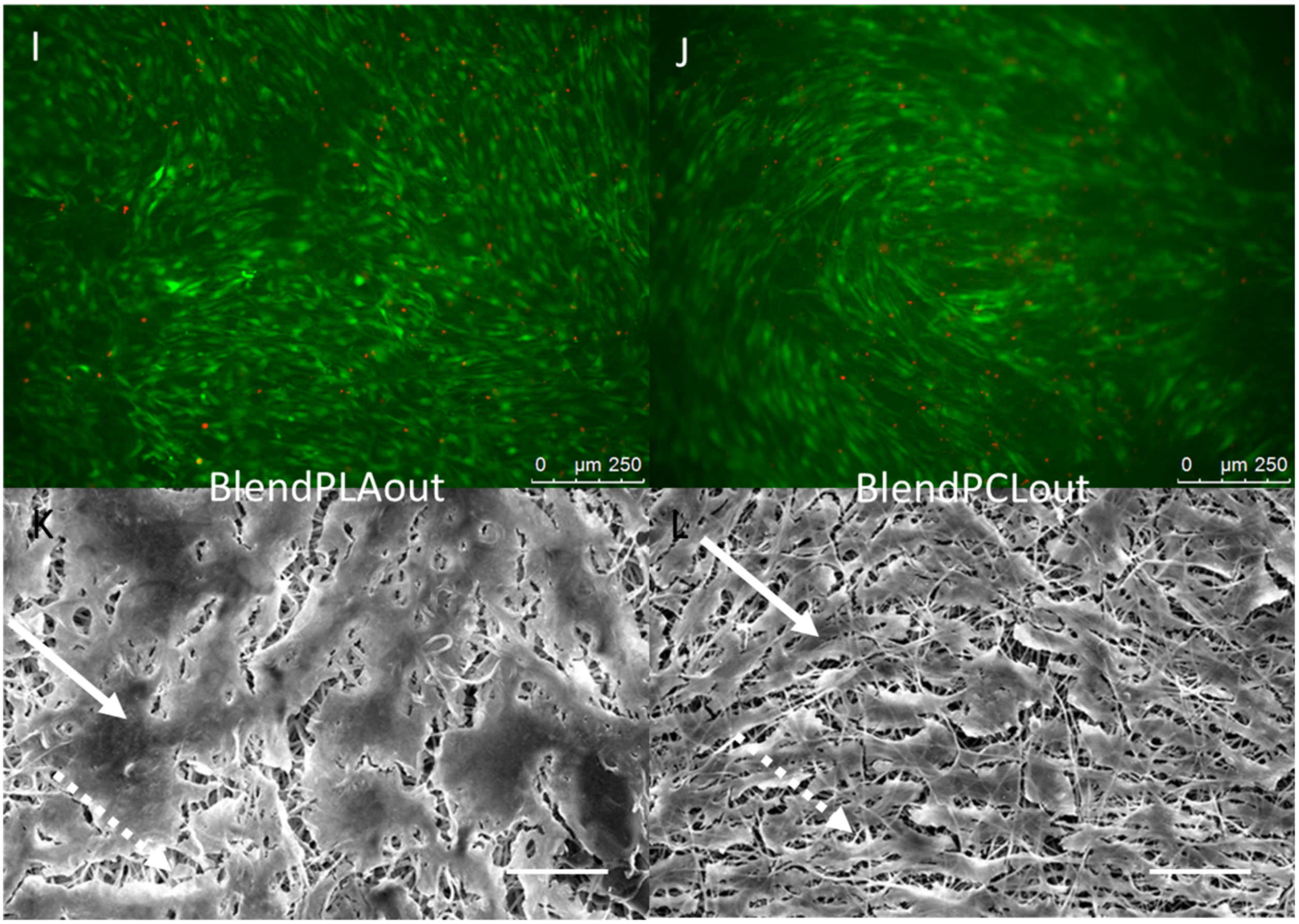 Materials 10 01387 g004b