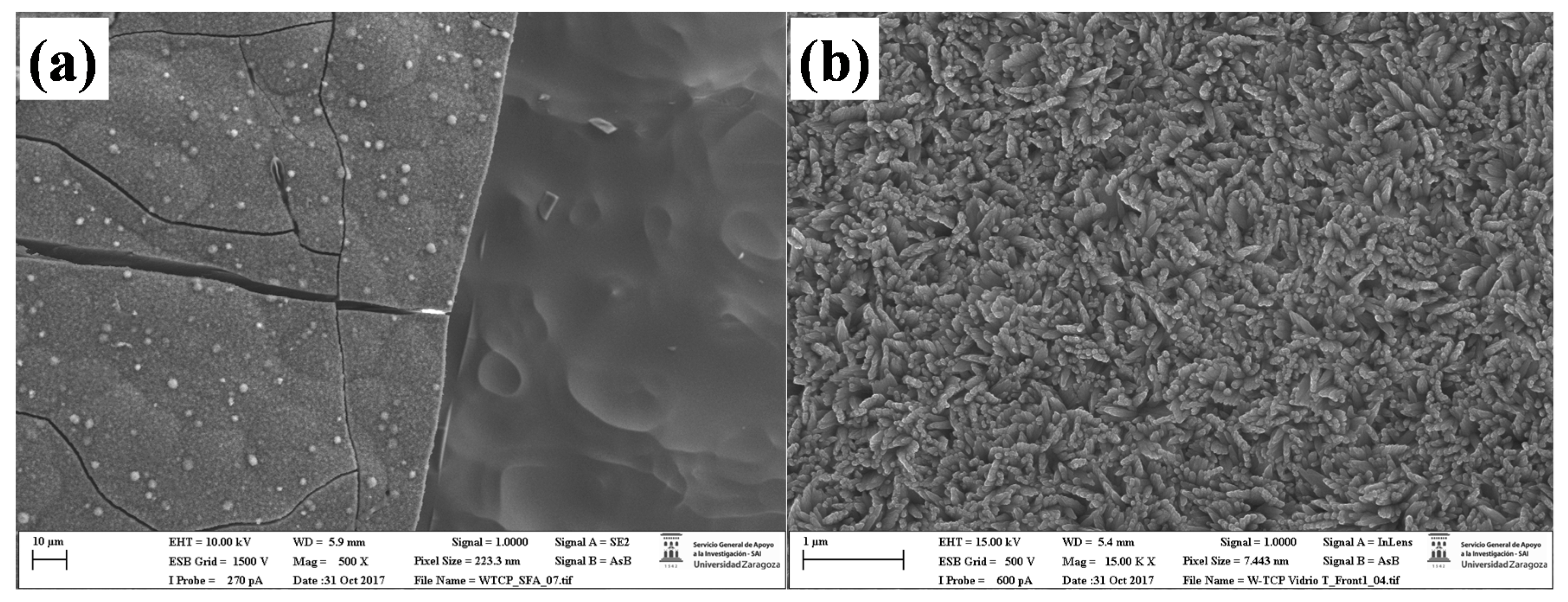 Materials 10 01395 g004