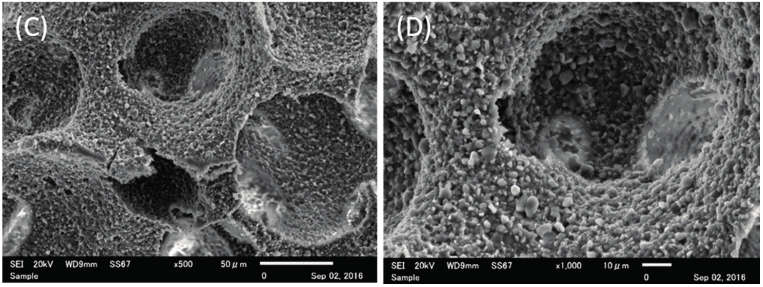 Materials 10 01405 g001b 550
