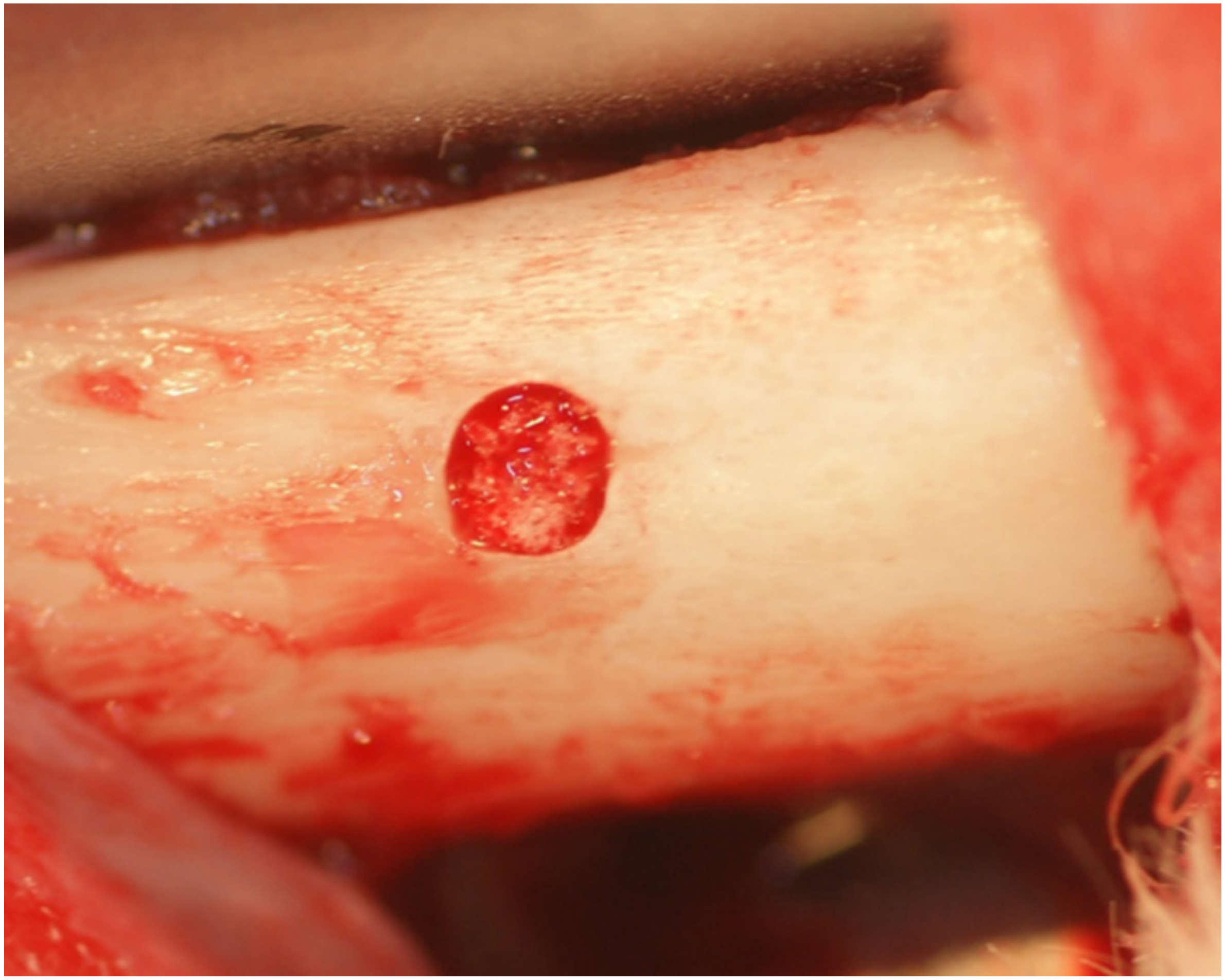 Materials 10 01405 g004 550