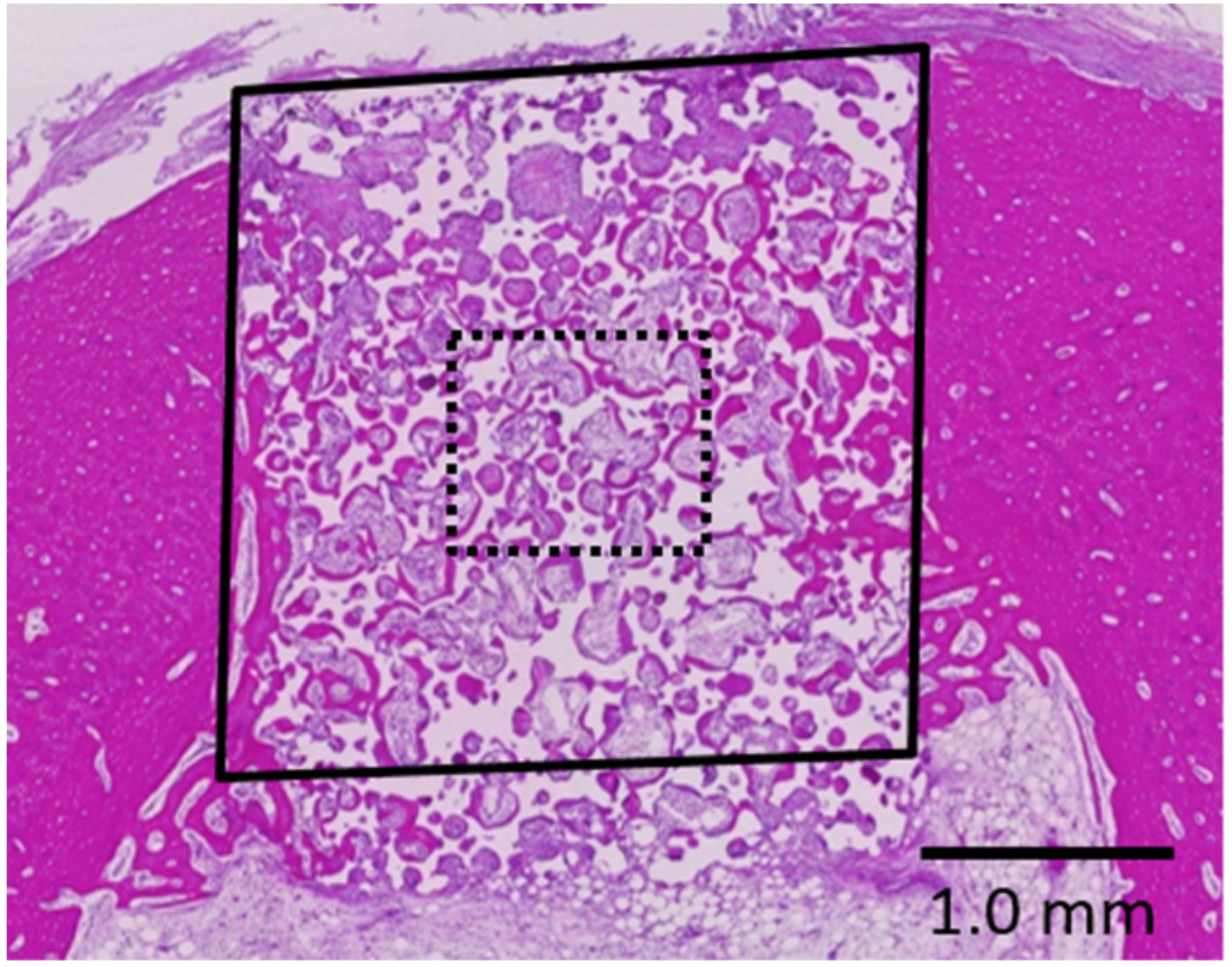 Materials 10 01405 g005 550