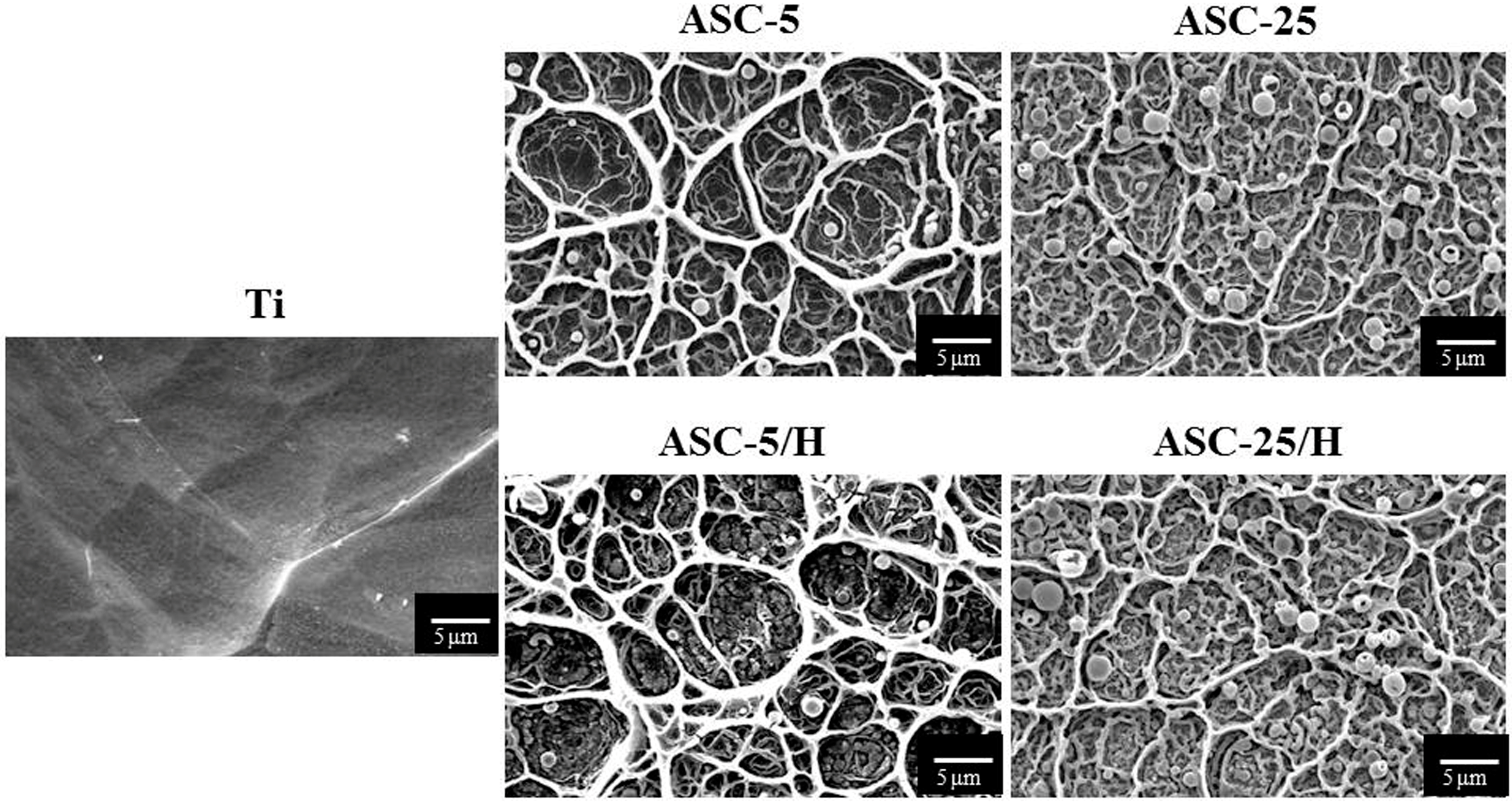 Materials 10 01416 g001
