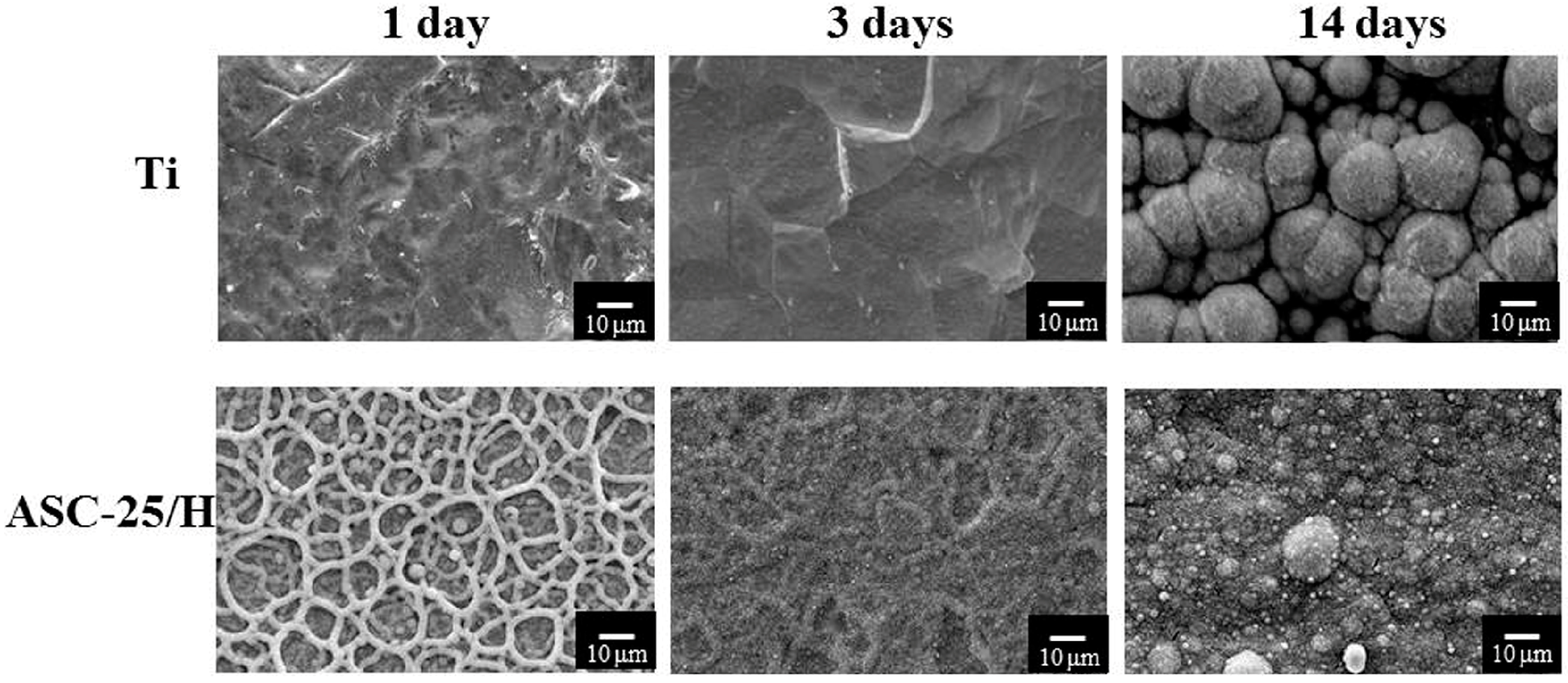 Materials 10 01416 g006