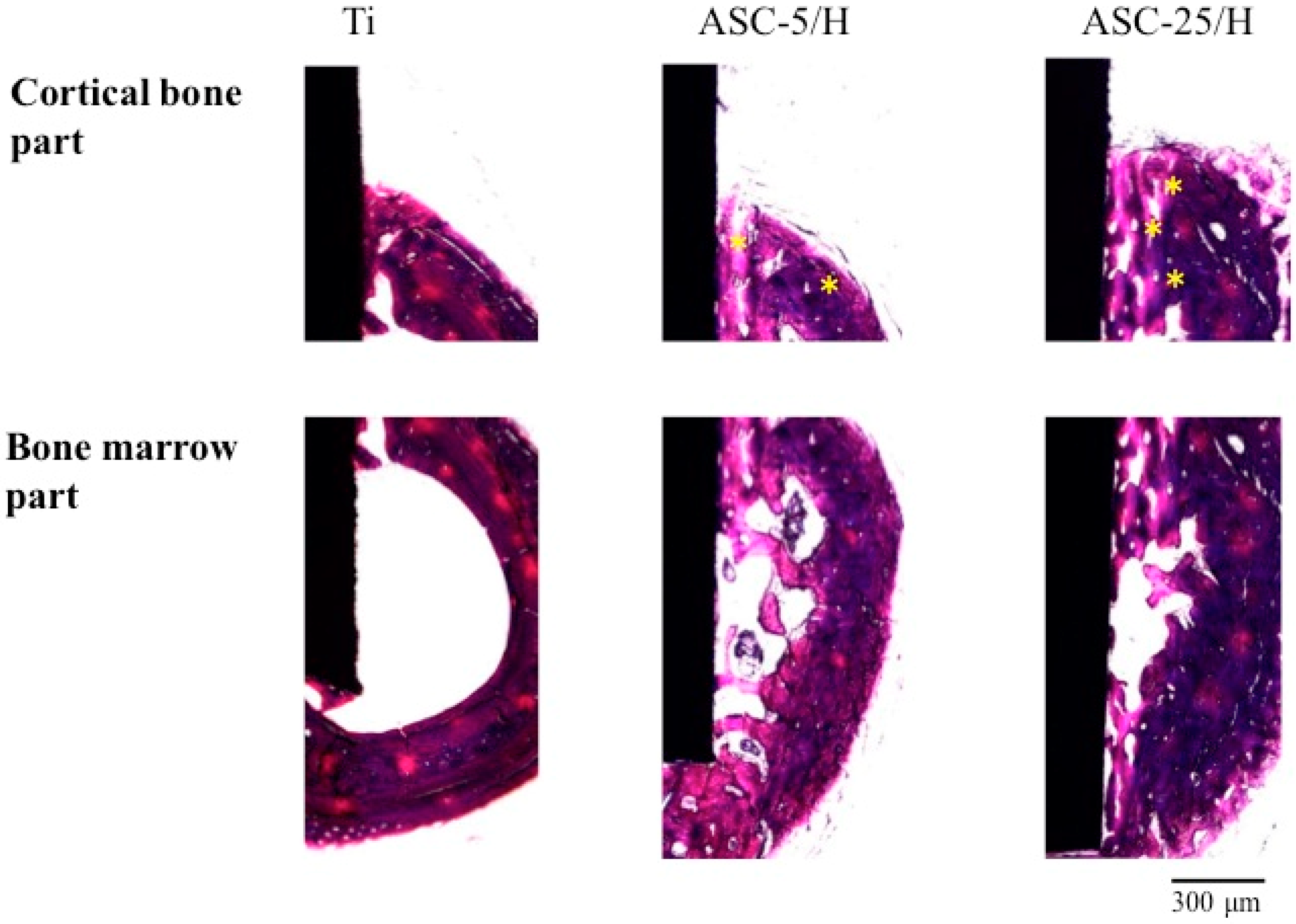Materials 10 01416 g010